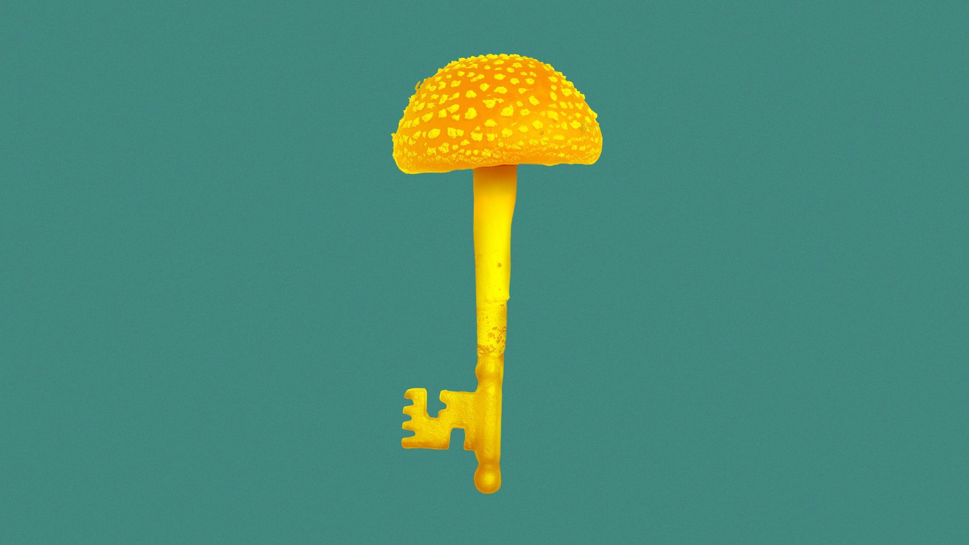 Illustration of a mushroom key.