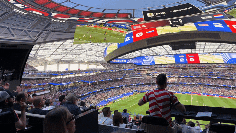 Fans cheer and applaud after a goal is scored