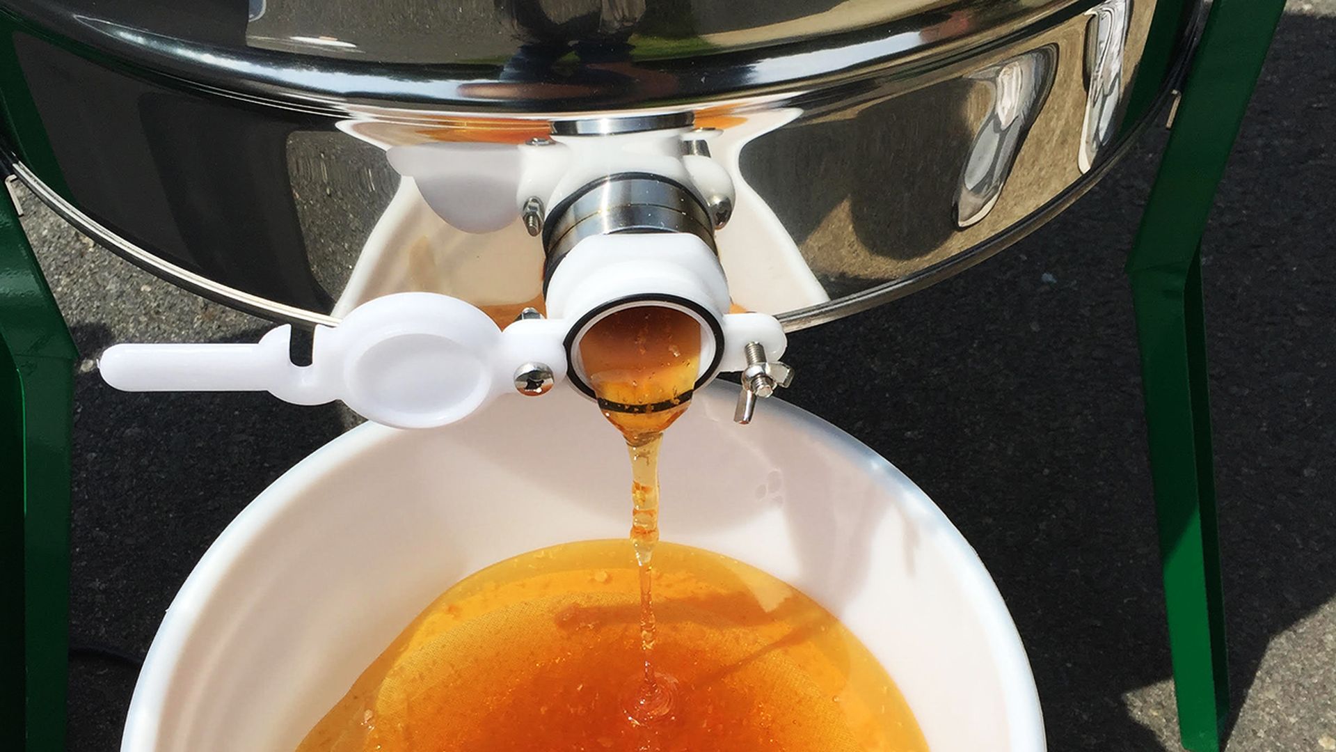 jesse-holland-hives-backyard-bees-honey-charlotte-nc