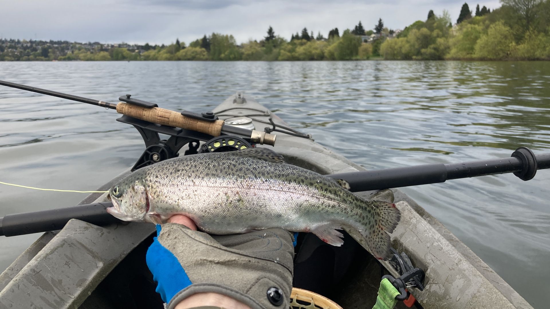 A fish on an upturned hand in a boat on a lake. 