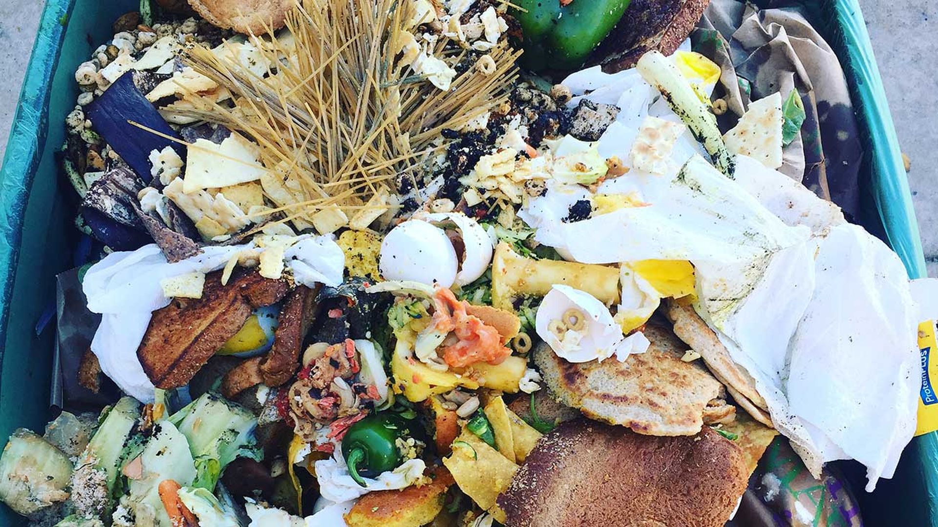 food-in-compost