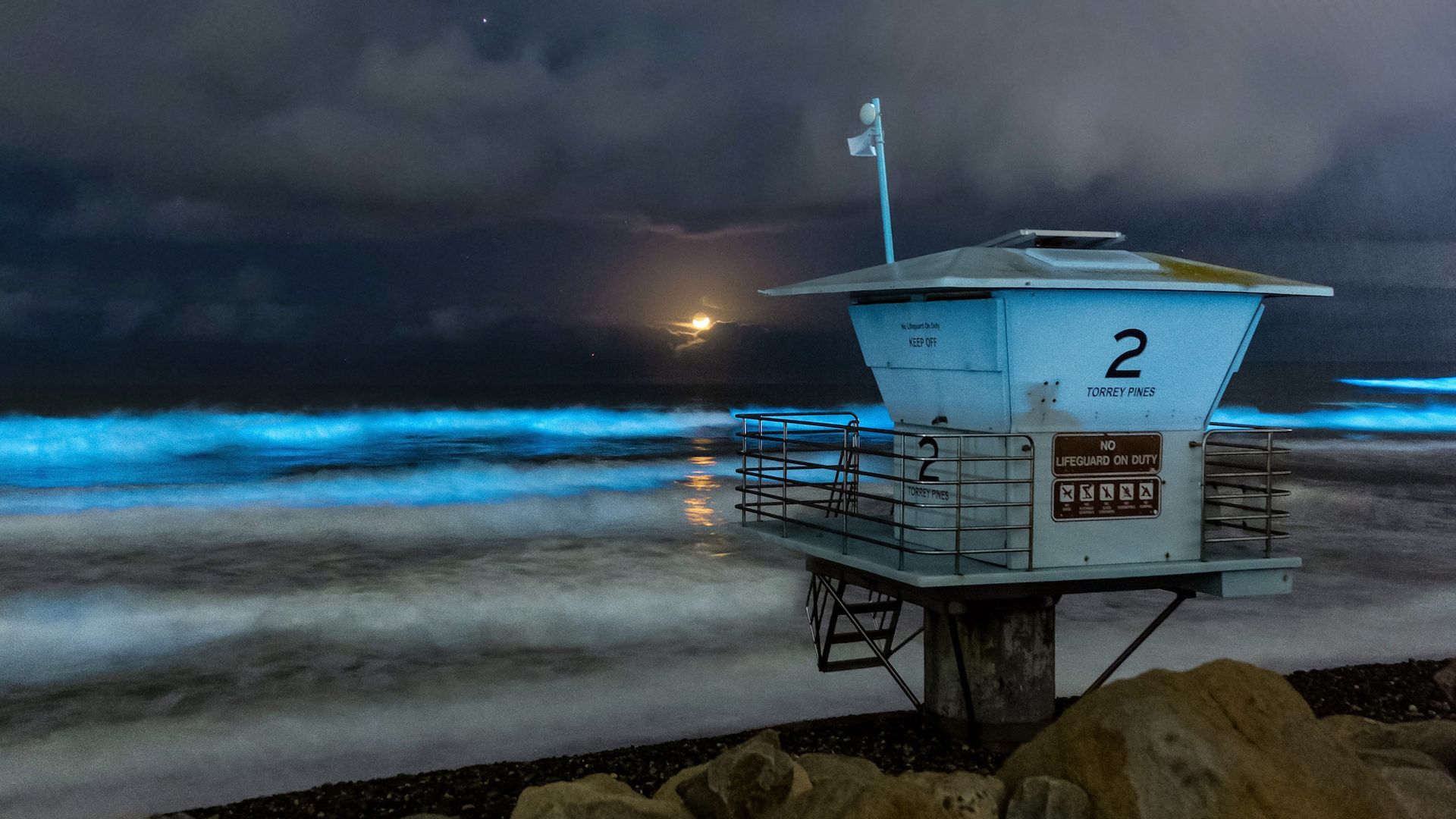 Bioluminescence at Torrey Pines State Beach