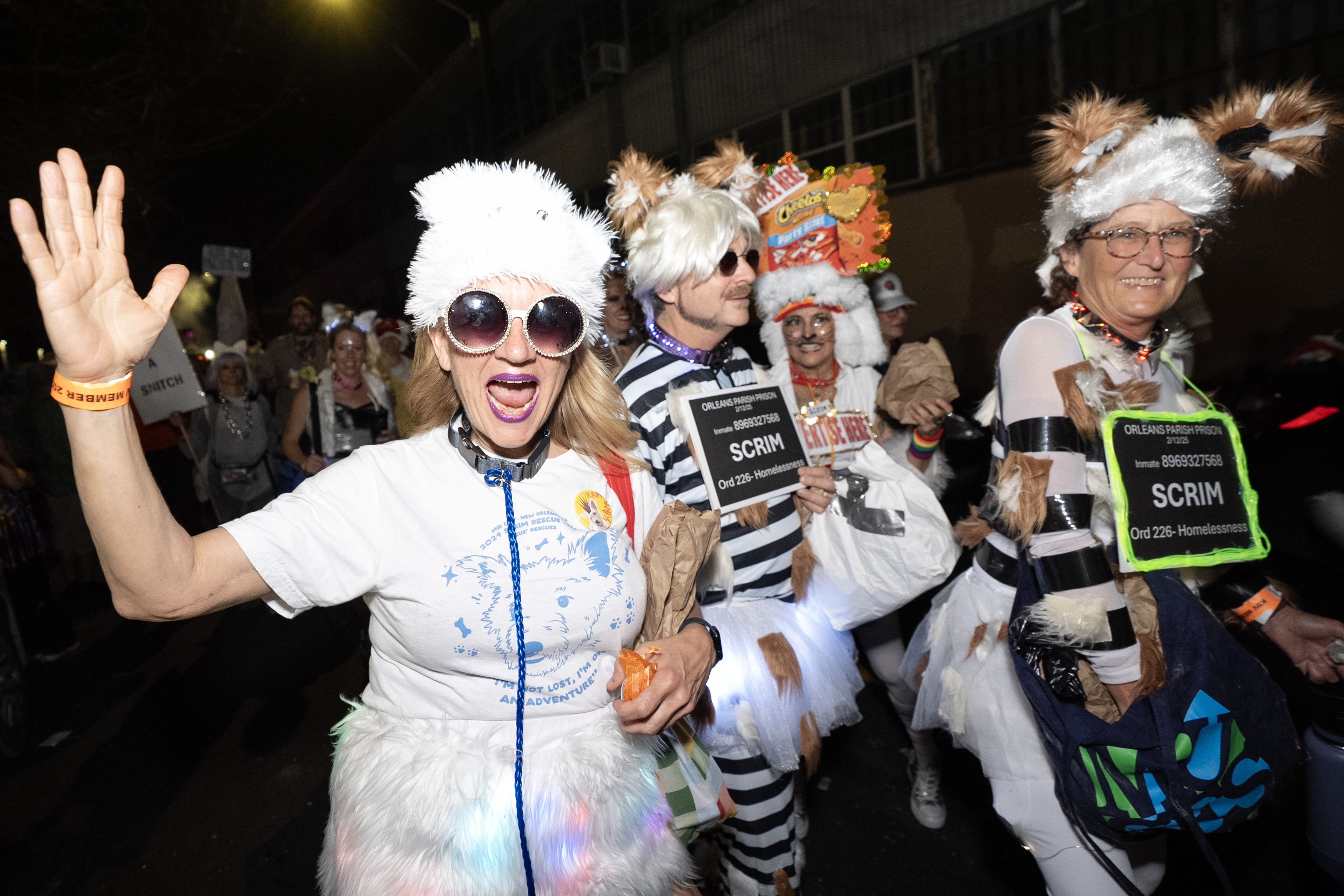 Photo shows people dressed as dogs.