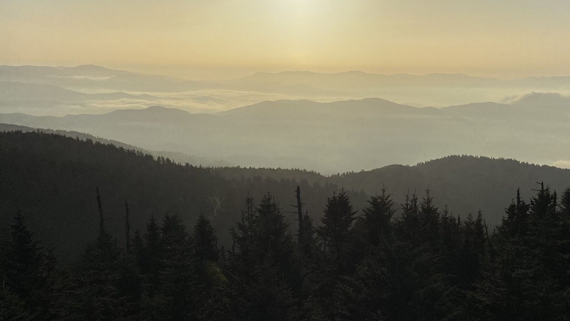 Sunrise in Great Smoky Mountains National Park.