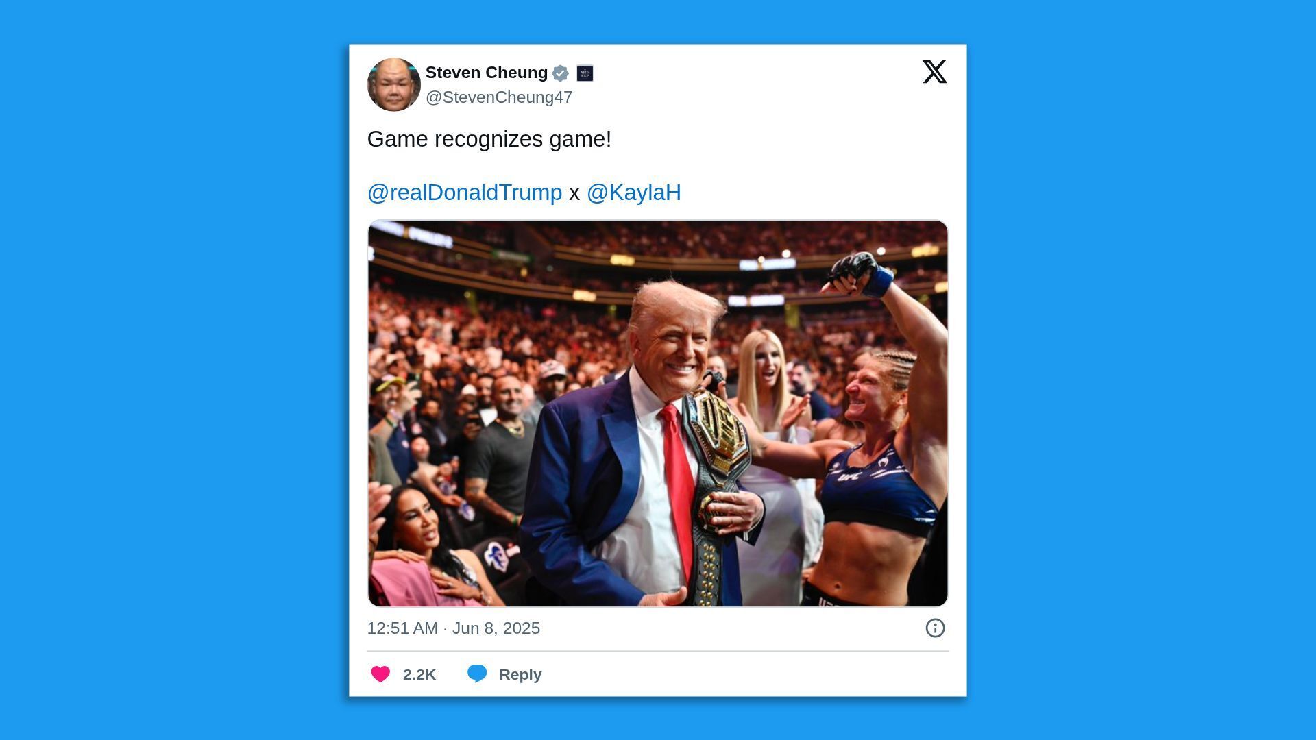 Trump at UFC fight