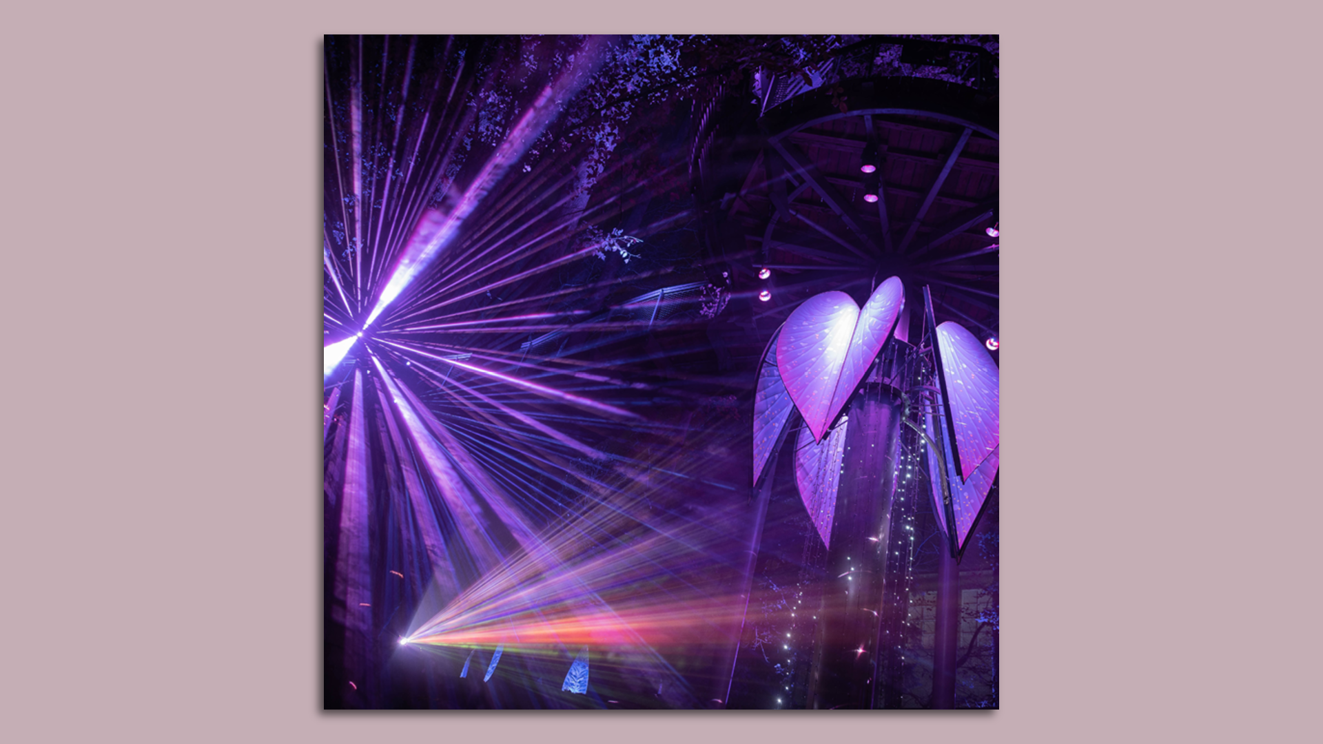 A photo of a vivid purple light show during nighttime in a forested area