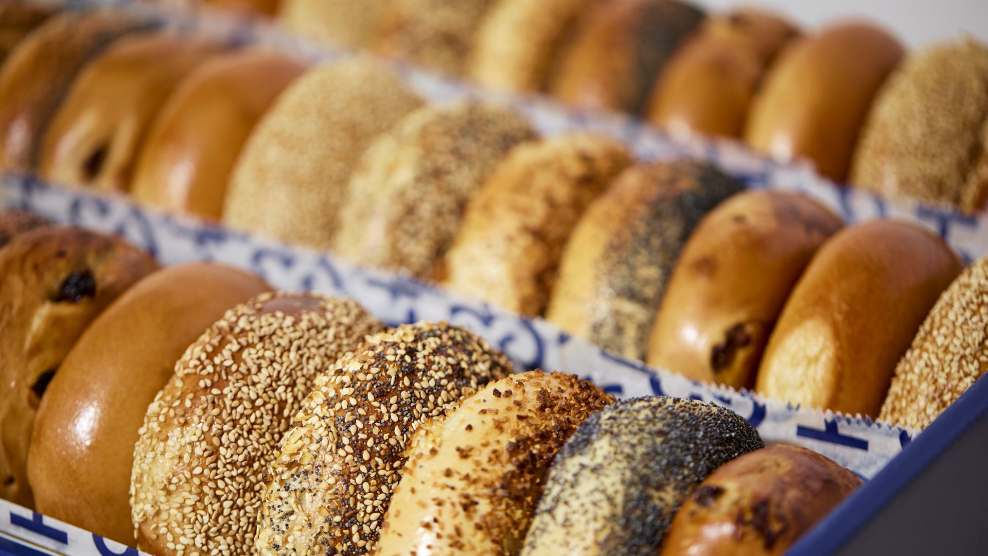Assorted bagels with various toppings including sesame seeds, poppy seeds, and garlic, arranged in rows inside a blue box with white paper lining.
