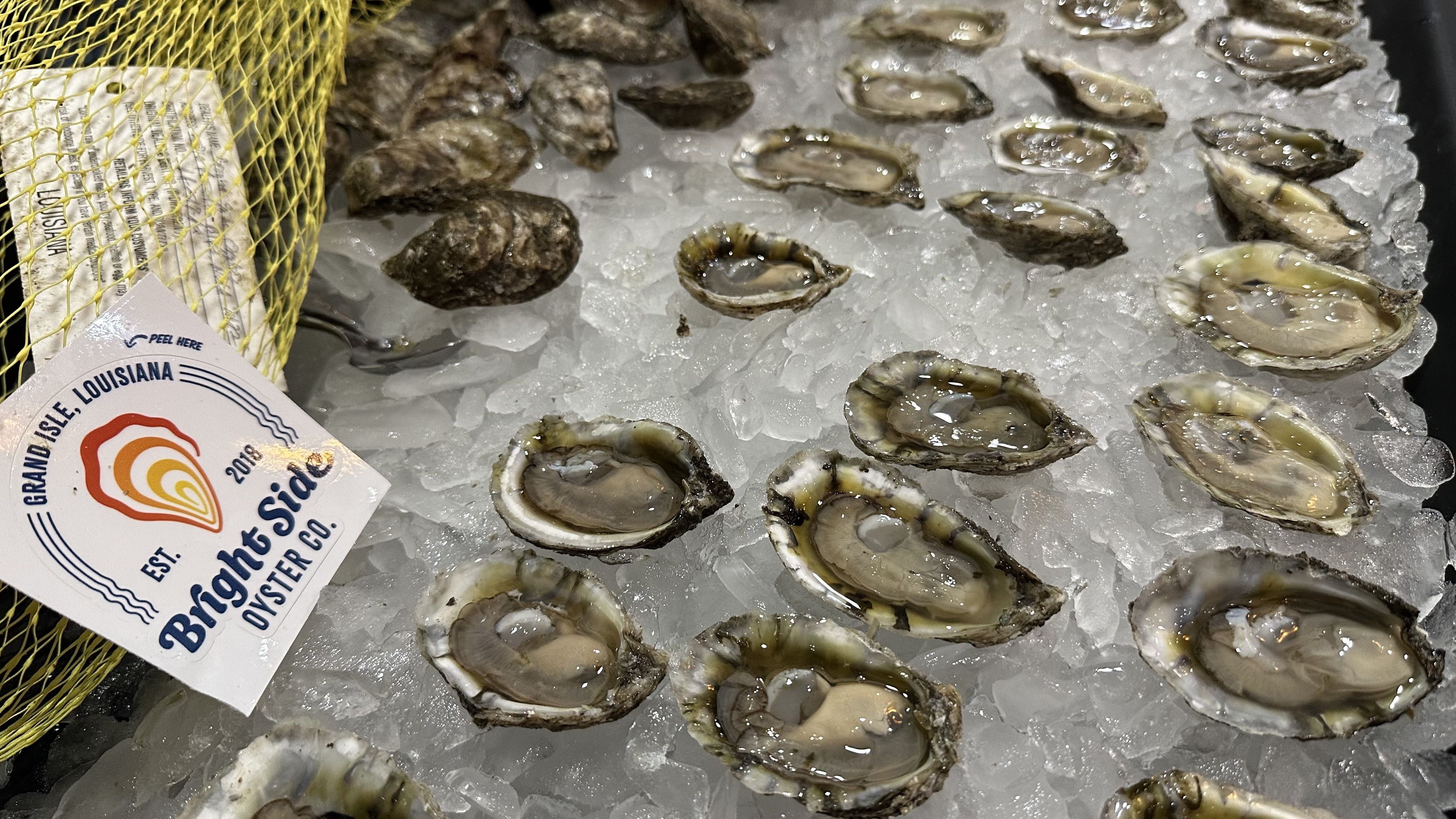 Opened oysters displayed on crushed ice with a BrightSide Oyster Co. label from Grand Isle, Louisiana visible in a yellow net bag on the left side of the image.