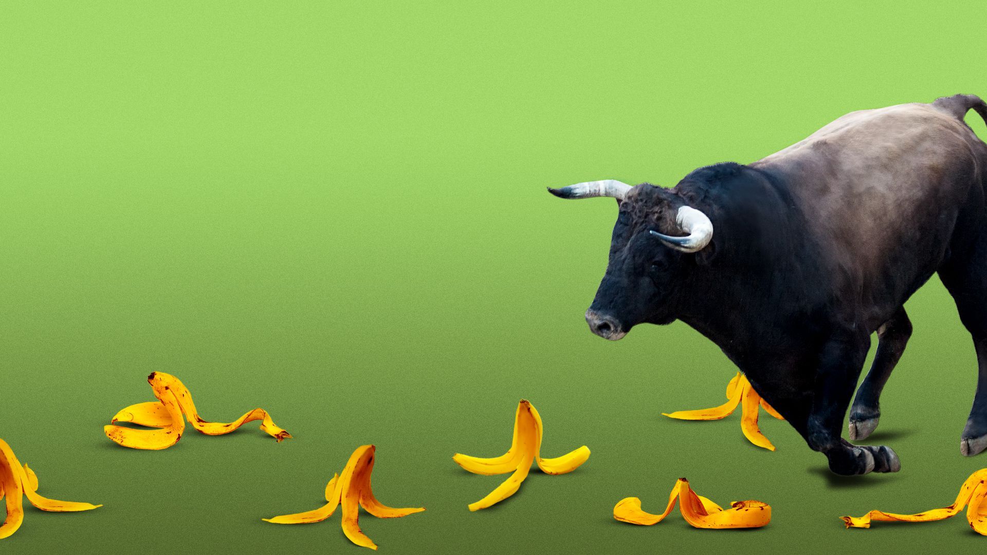 Illustration of a bull slipping on a floor covered in banana peels.