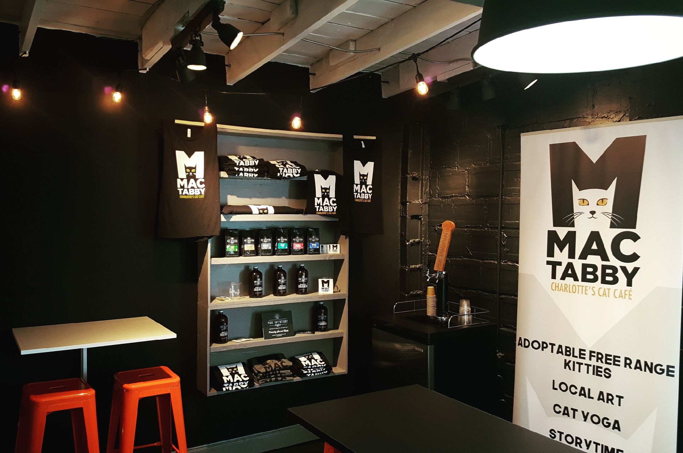 Mac Tabby Cat Cafe will open November 11 in Optimist Park - Axios