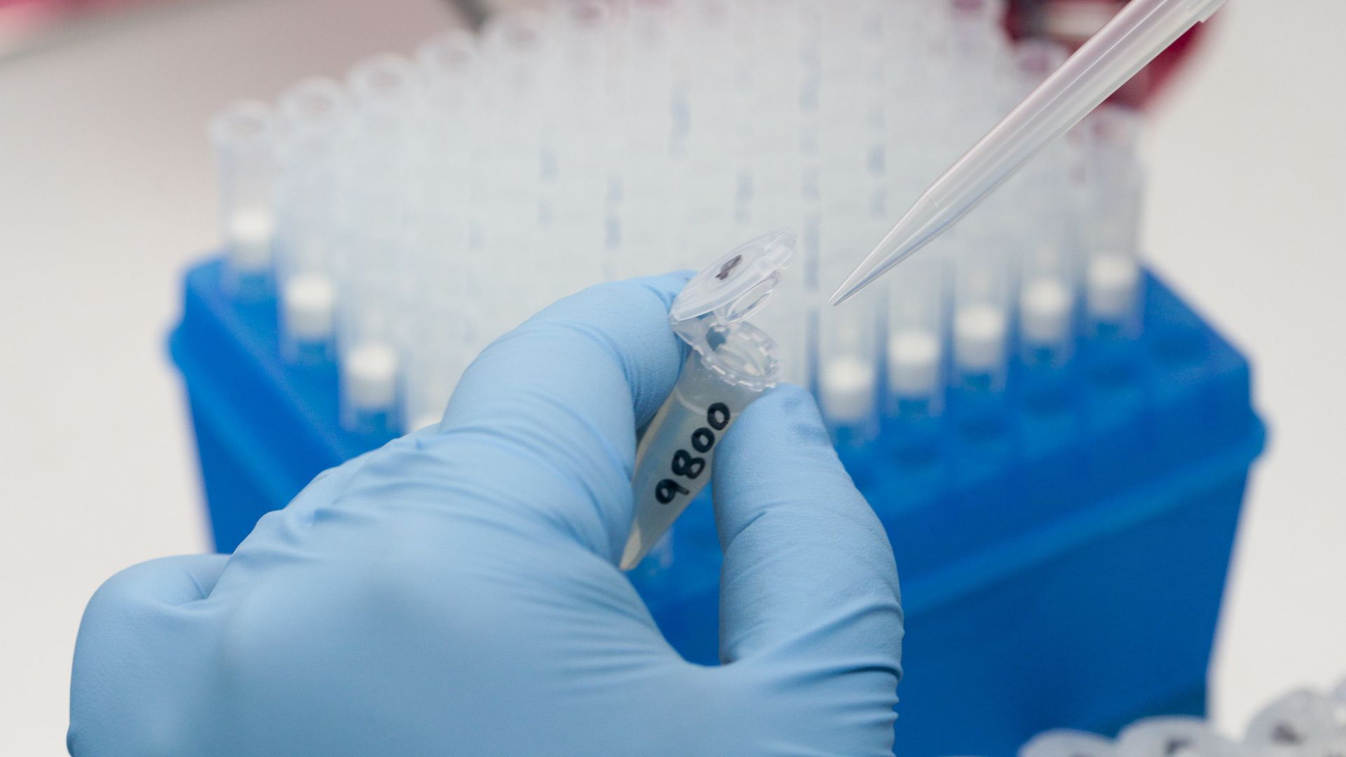 medical lab, hhs, medicare, lawsuit