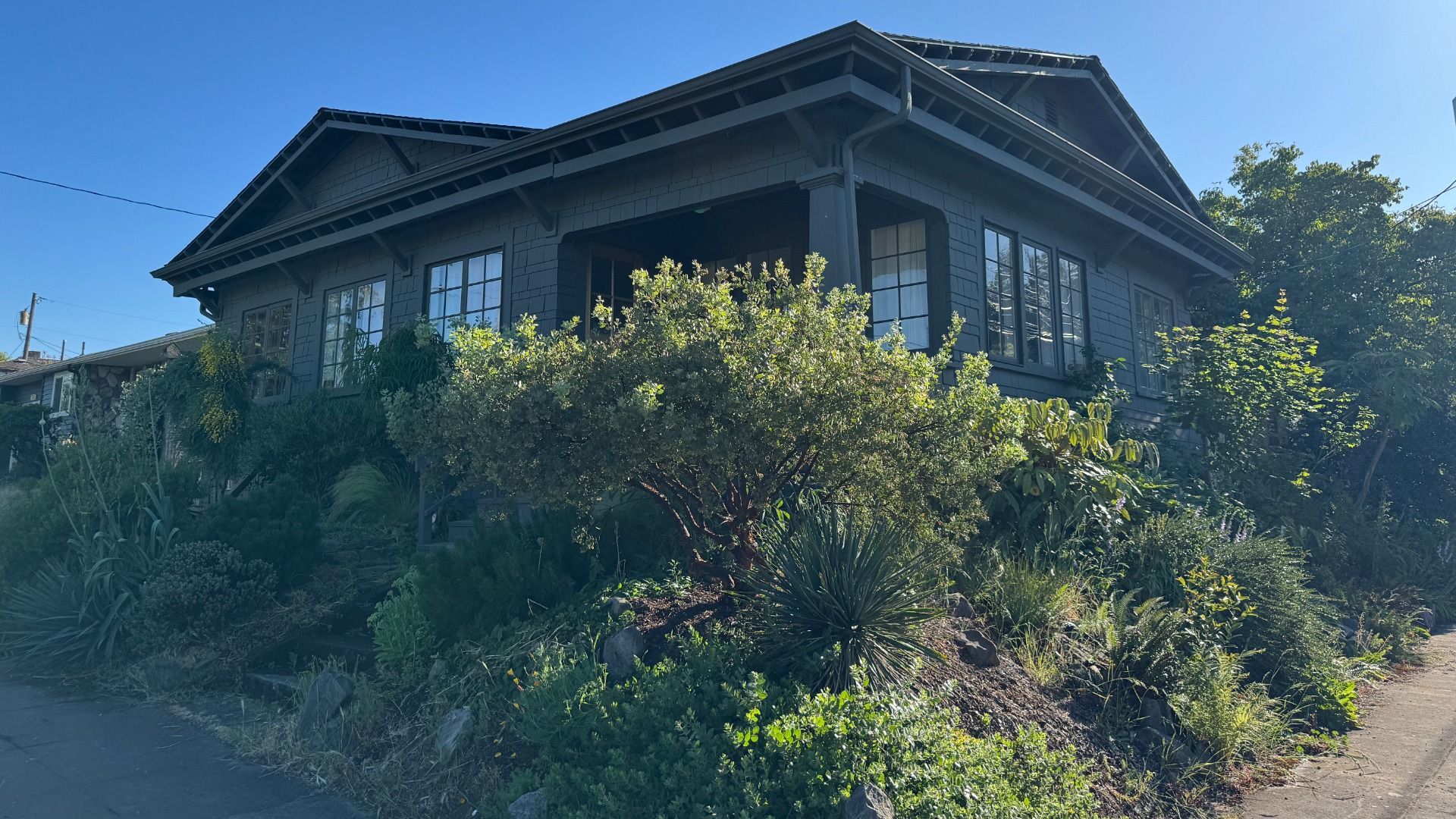 Craftsman-style house painted in charcoal gray, surrounded by dense, drought-tolerant landscaping on a sloped corner lot, under a clear blue sky in late afternoon sunlight.