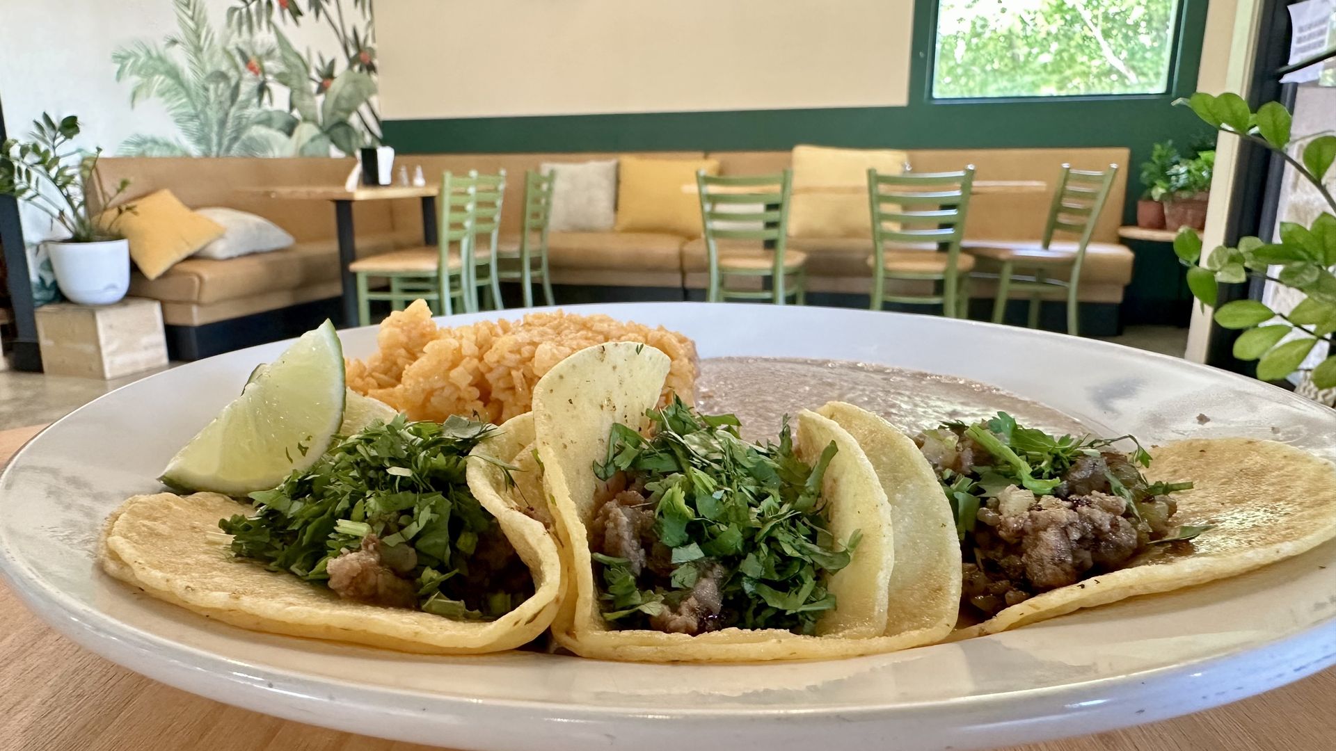 A photo of a plate of tacos