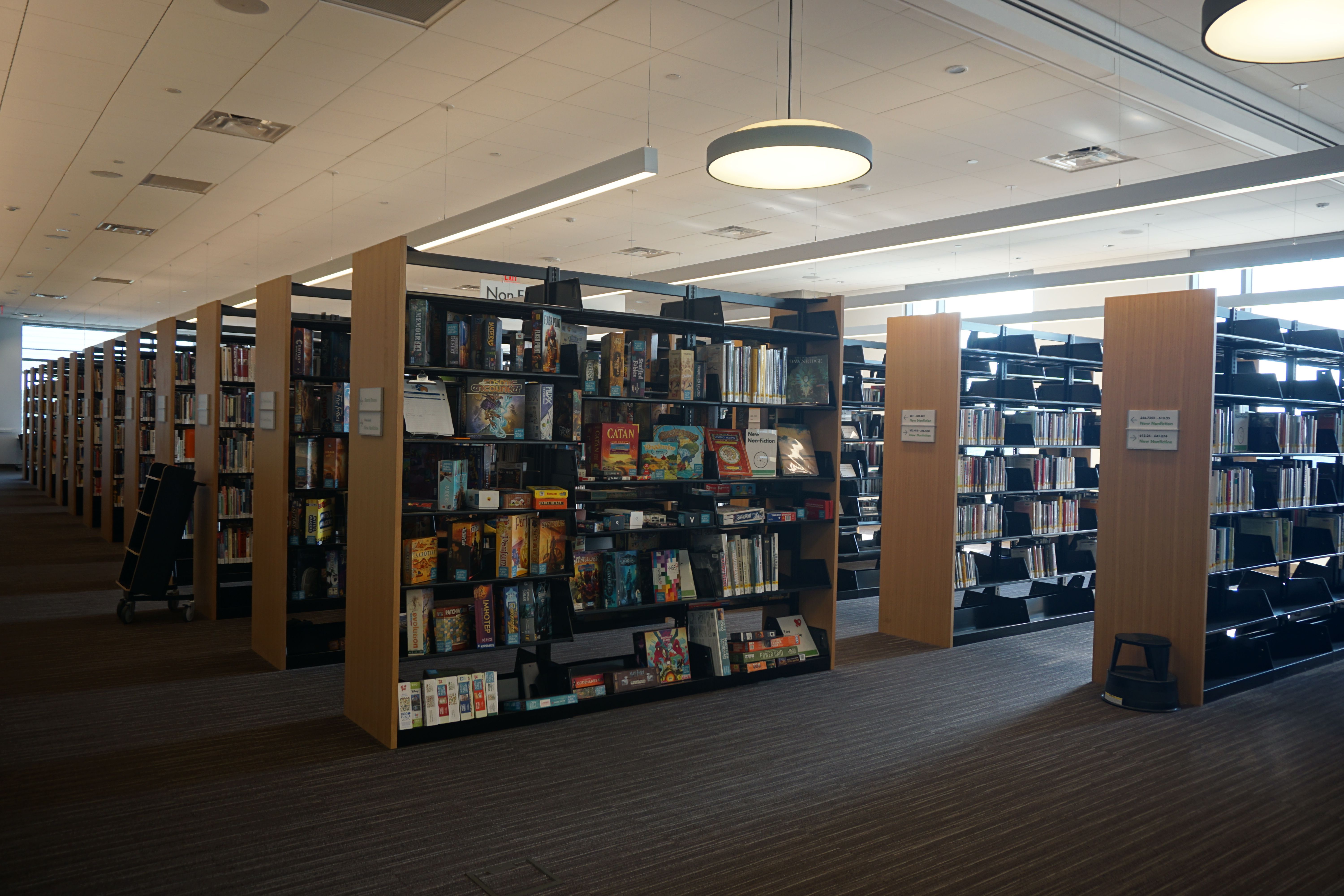 Books at the Austin Central Library
