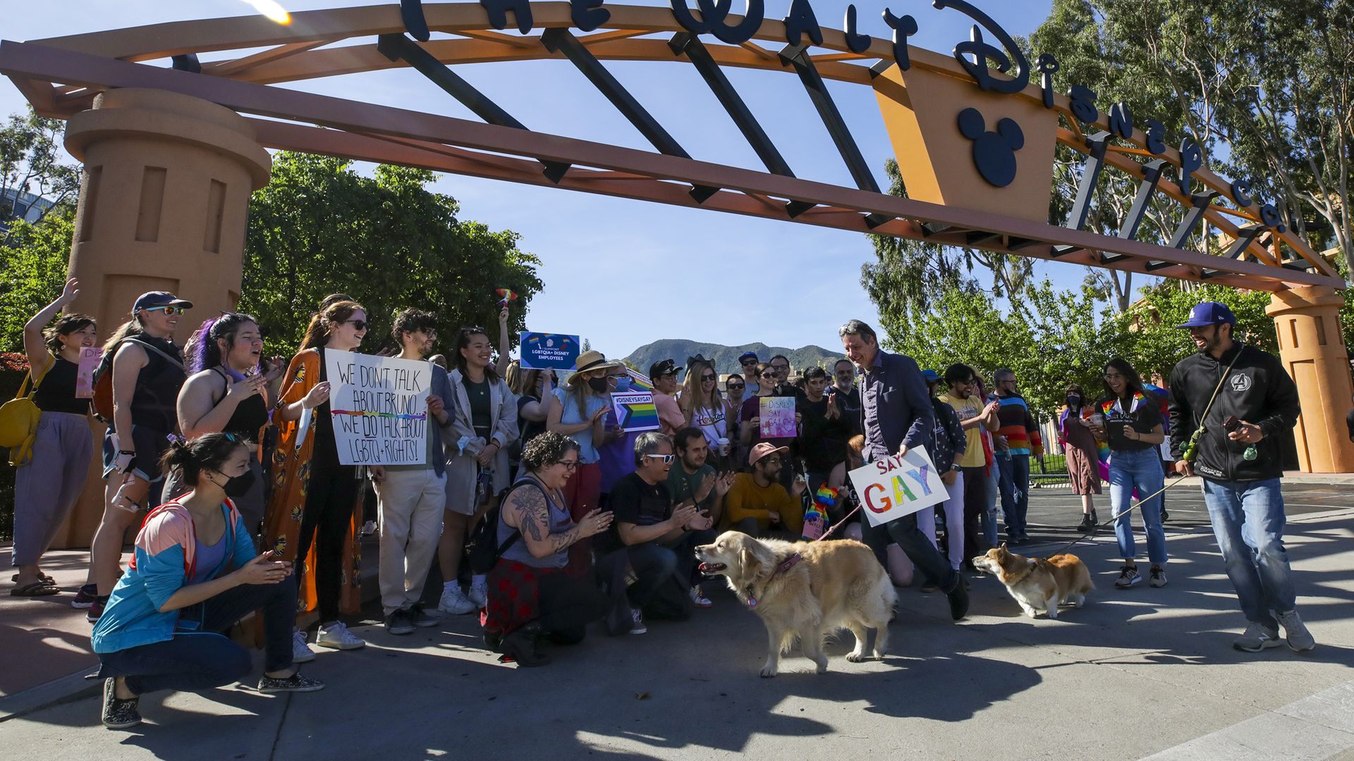 Protestors of the Don't Say Gay bill