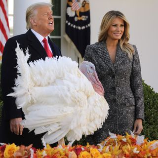 Trump touts Walmart's cheaper Thanksgiving meal, downplays missing products