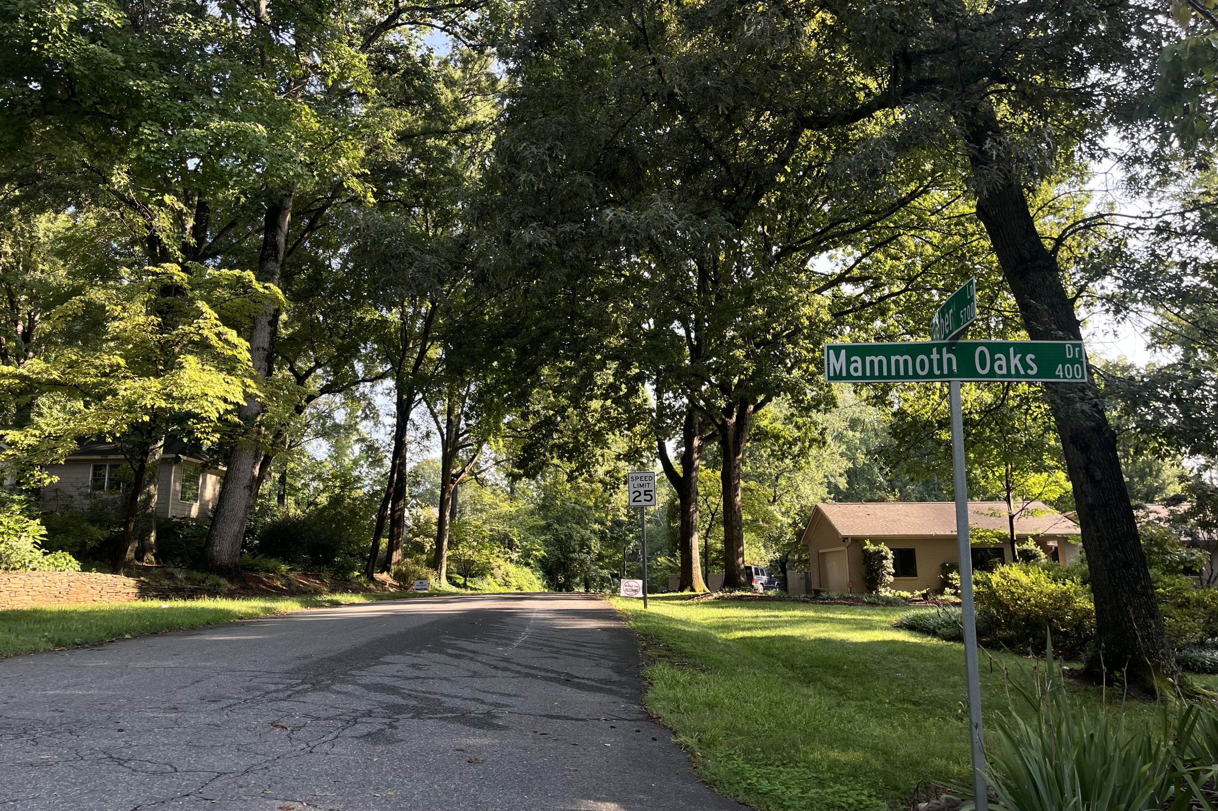 Street sign and road