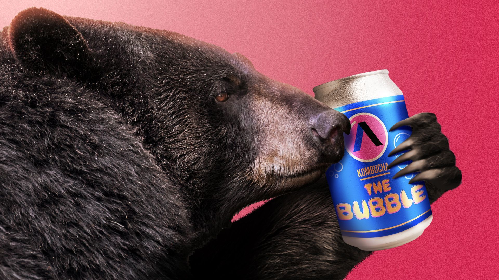 Illustration of a brown bear with a can of kombucha that reads "The Bubble" and features the Axios logo
