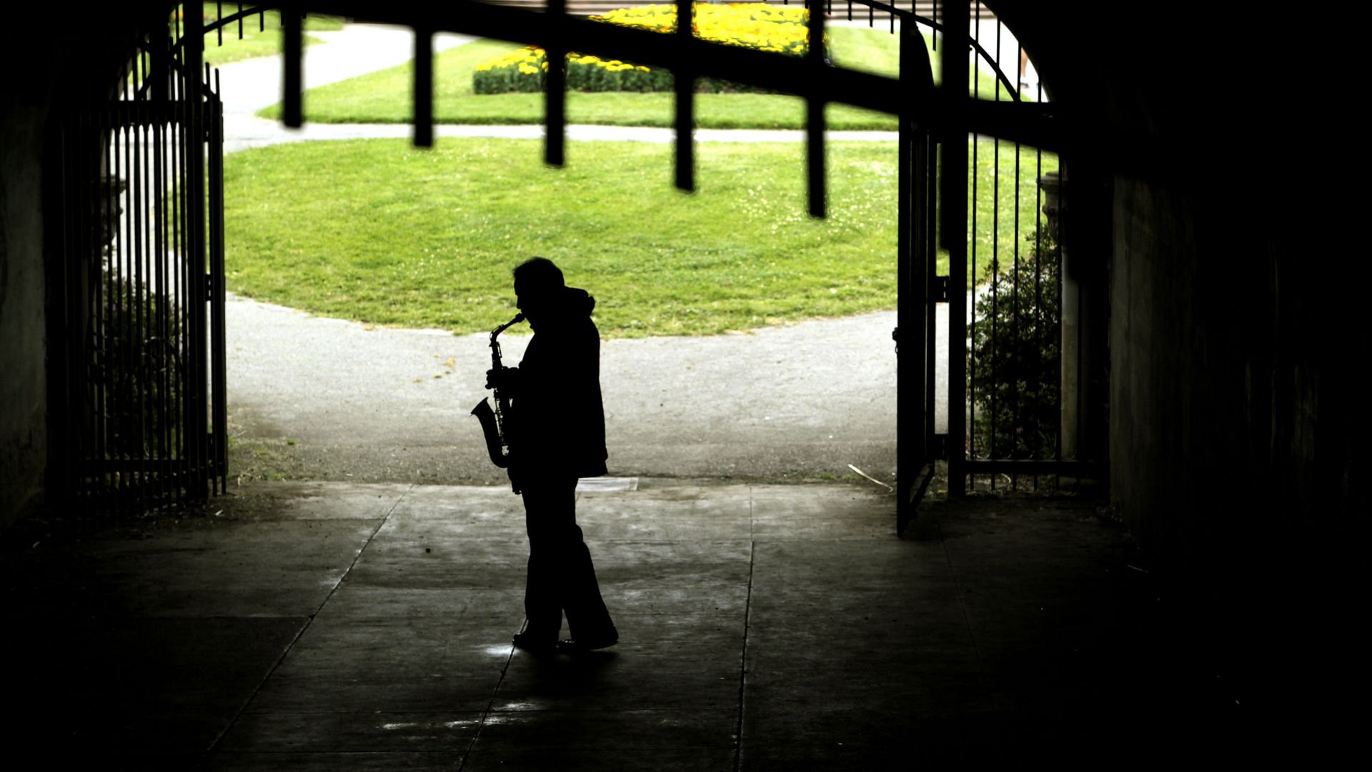 Person plays music in Golden Gate Park 