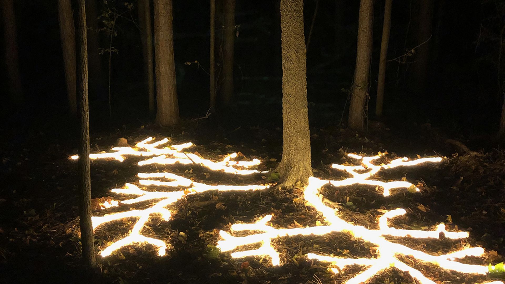 whitewater center light show