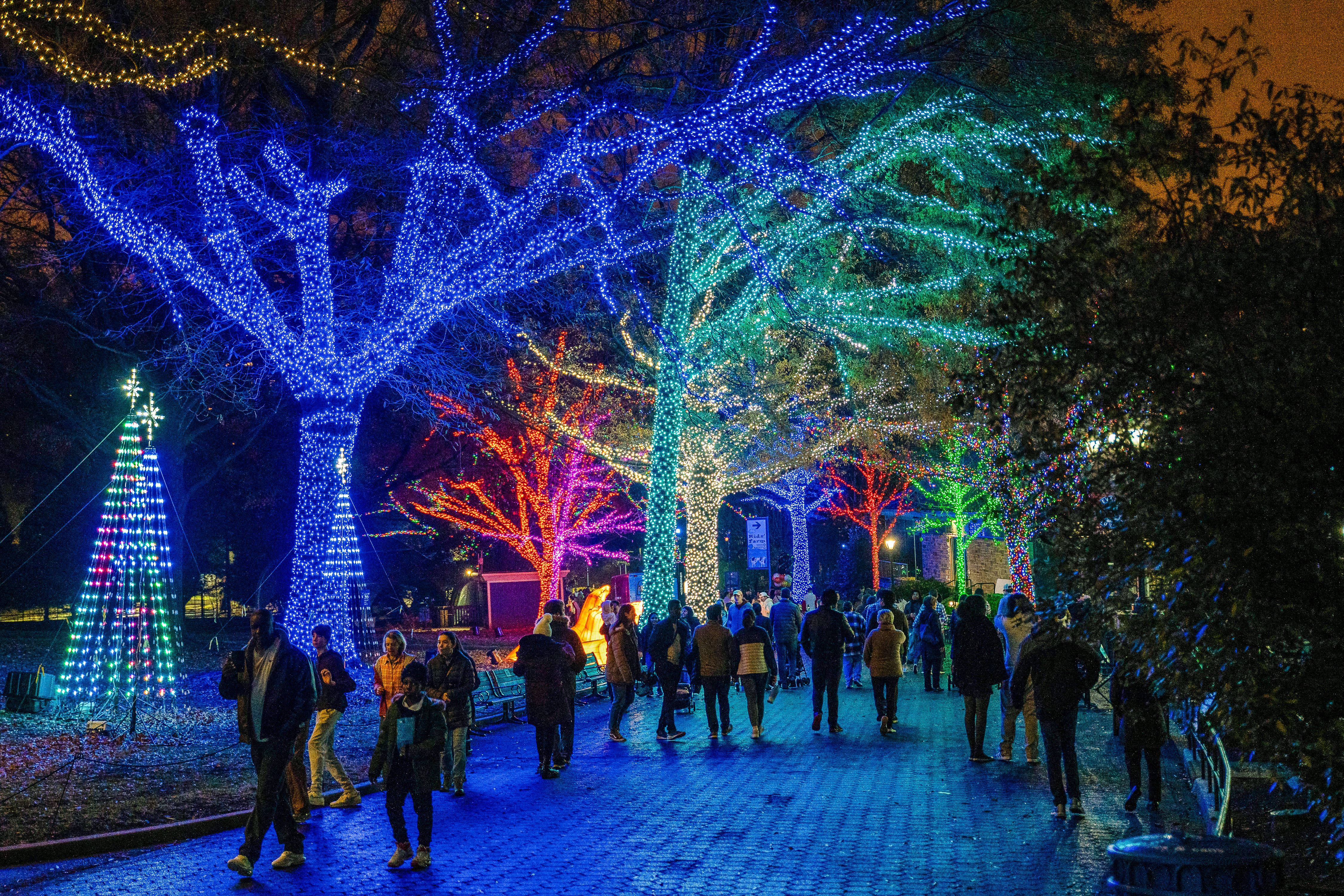 DC weekend things to do: Zoo Lights, 