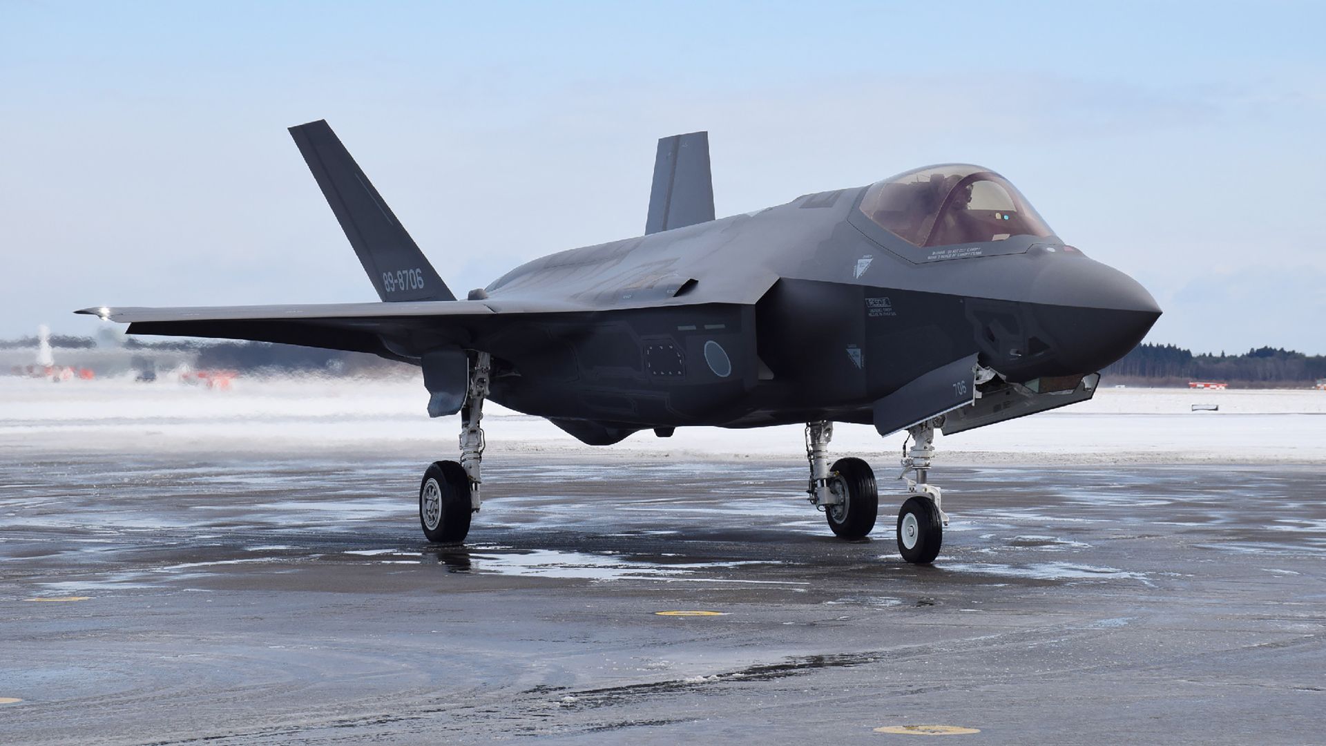 A F-35A stealth fighter jet of Japan's Self-Defence Forces, the same model as the one that crashed.