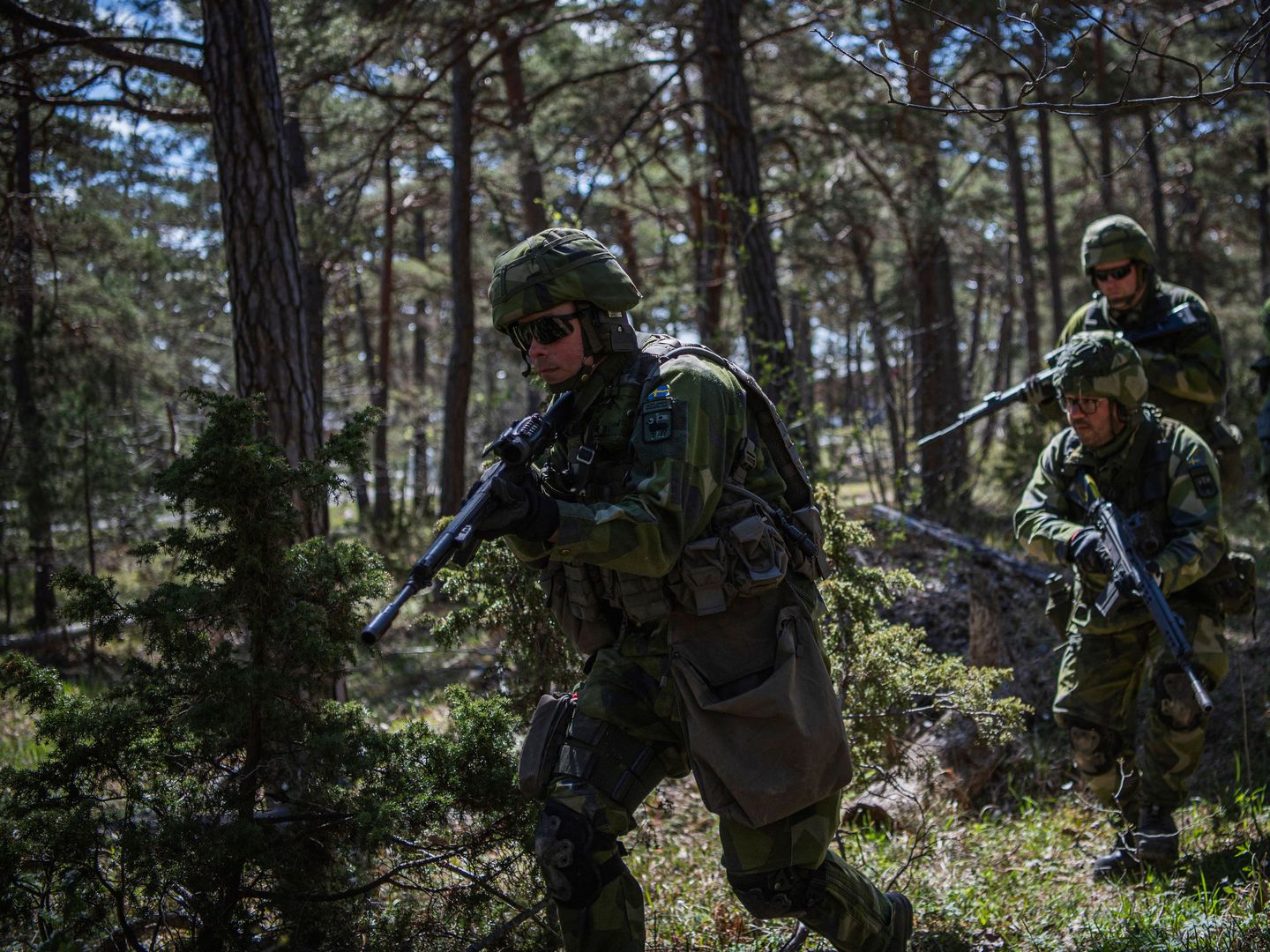 What Finland Adds to NATO's Military Arsenal