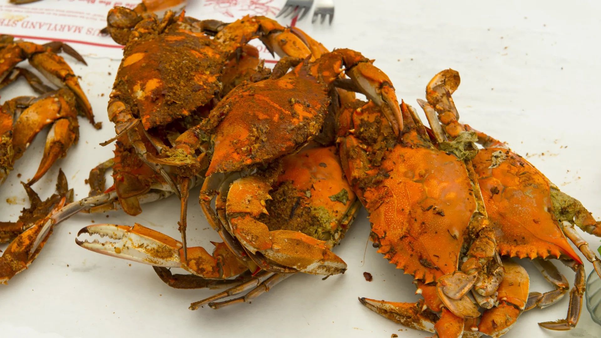 Crabs on a white table