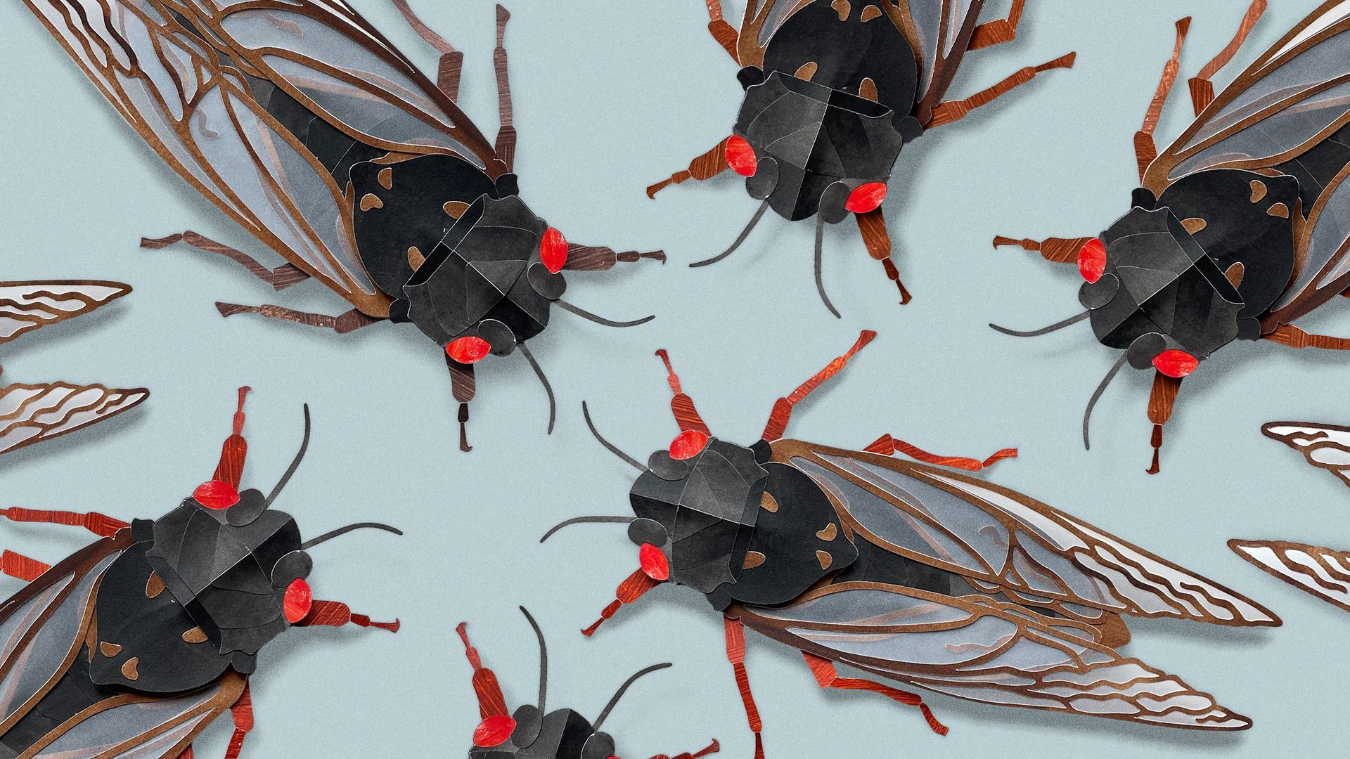 Illustration of cut-paper cicadas swarming. 