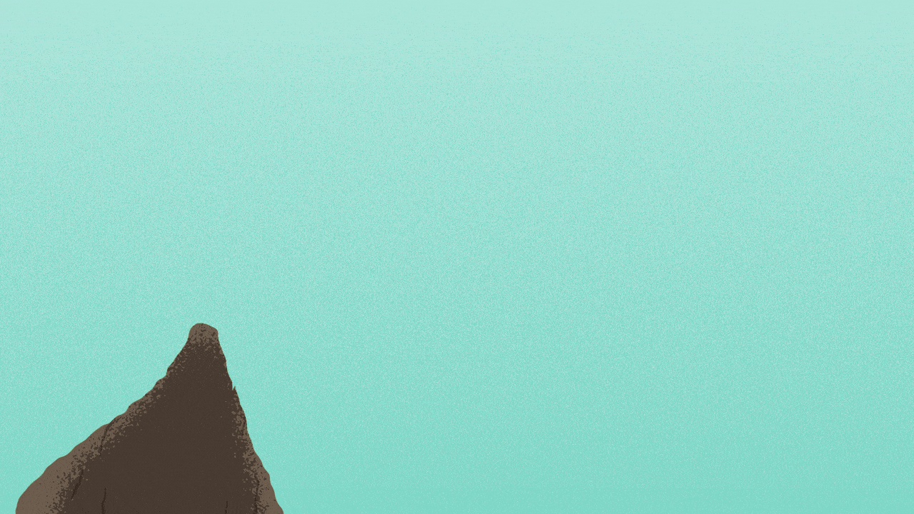 Animated illustration of a live oak tree growing, and the word ROUNDUP writing on the trunk.