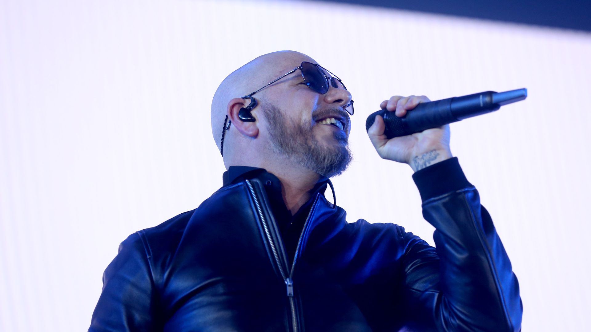 pitbull