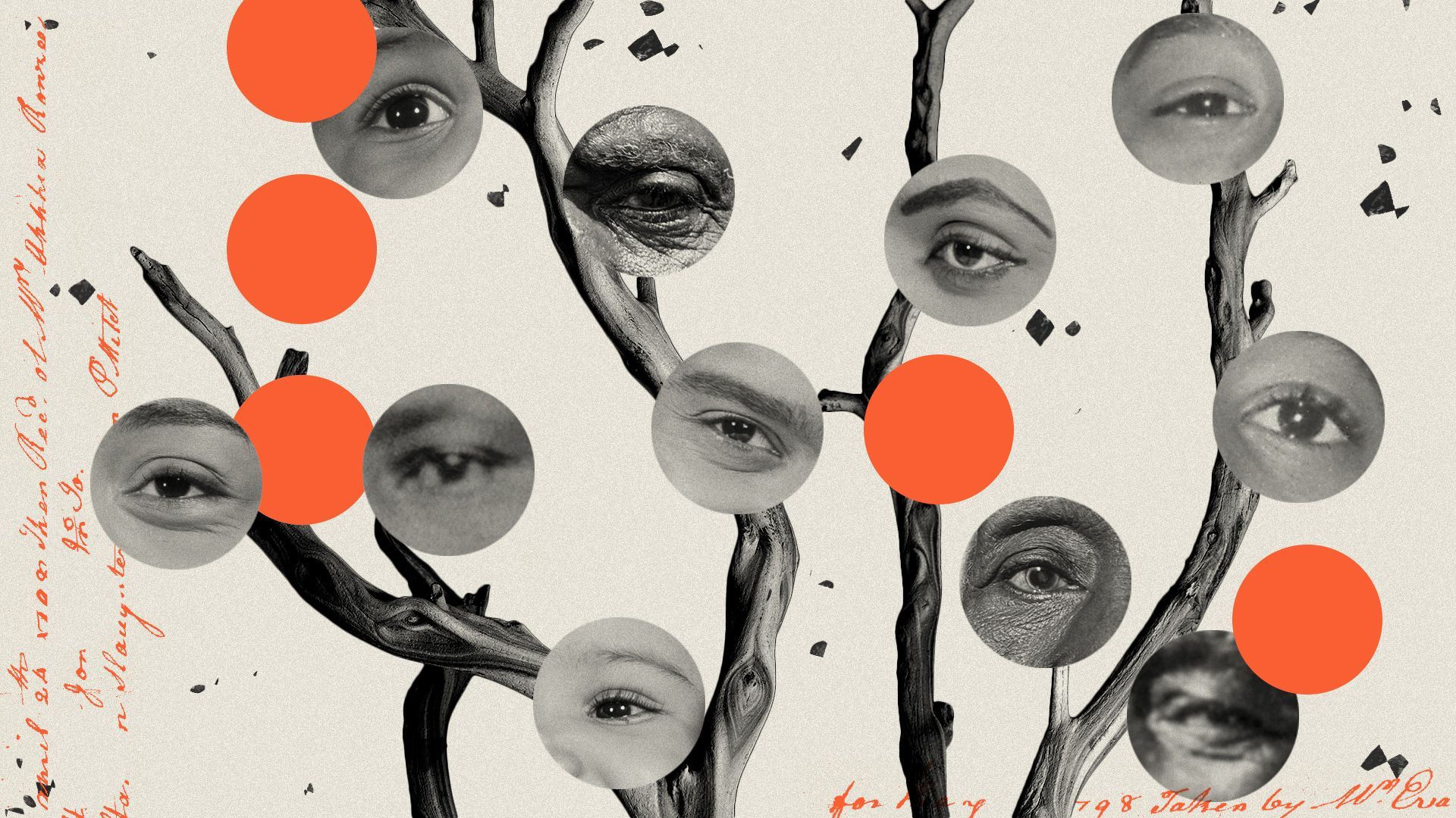 Photo illustrated collage of a tree, surrounded by circular cut outs of different eyes from people through various generations of Black history, as well as abstract shapes and handwriting. 