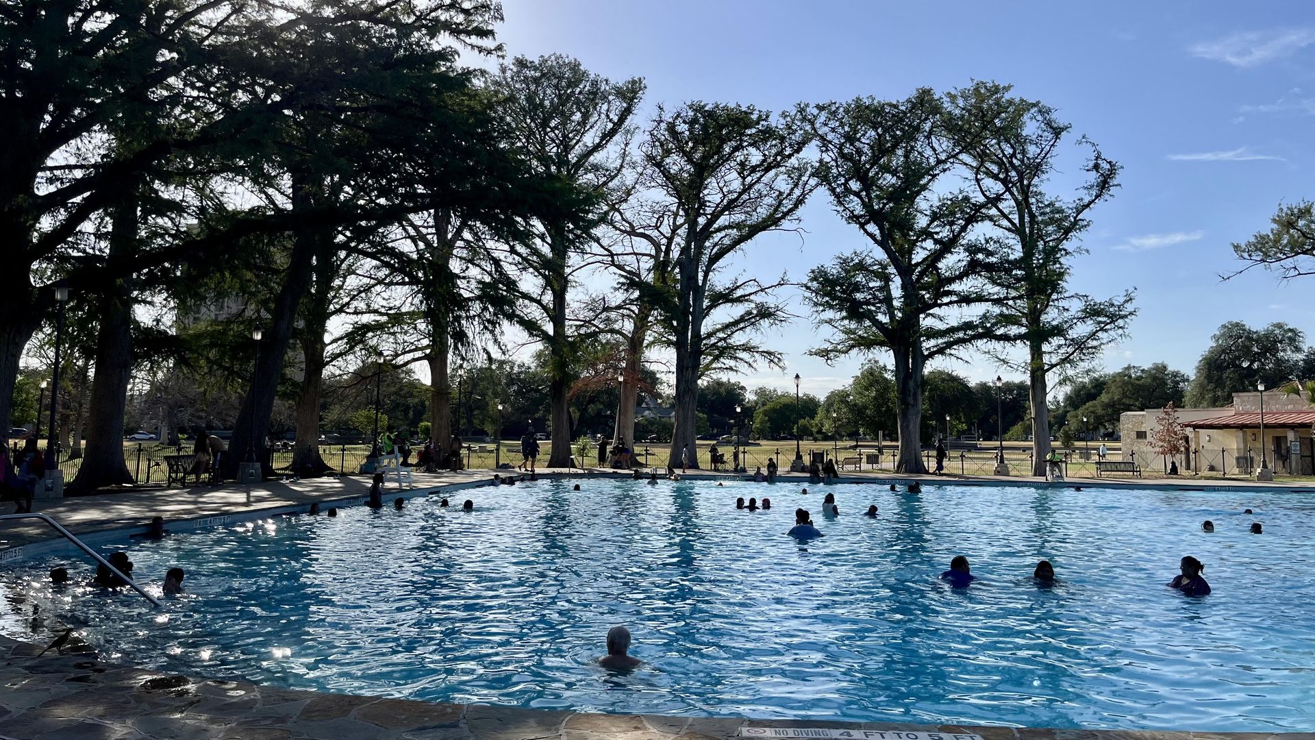 Outdoor swimming pool with people swimming and relaxing, surrounded by tall trees under a clear blue sky with the sun shining behind the tree branches.