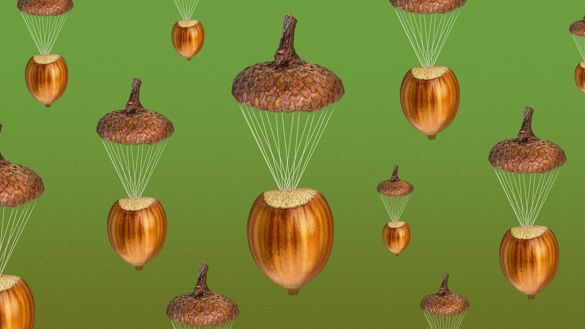 Illustration of acorns with parachutes made of acorn caps.