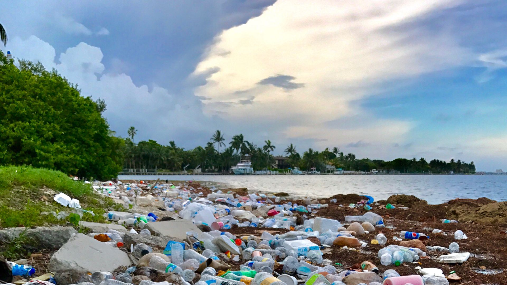 Plastic bottles pollute a coastline.