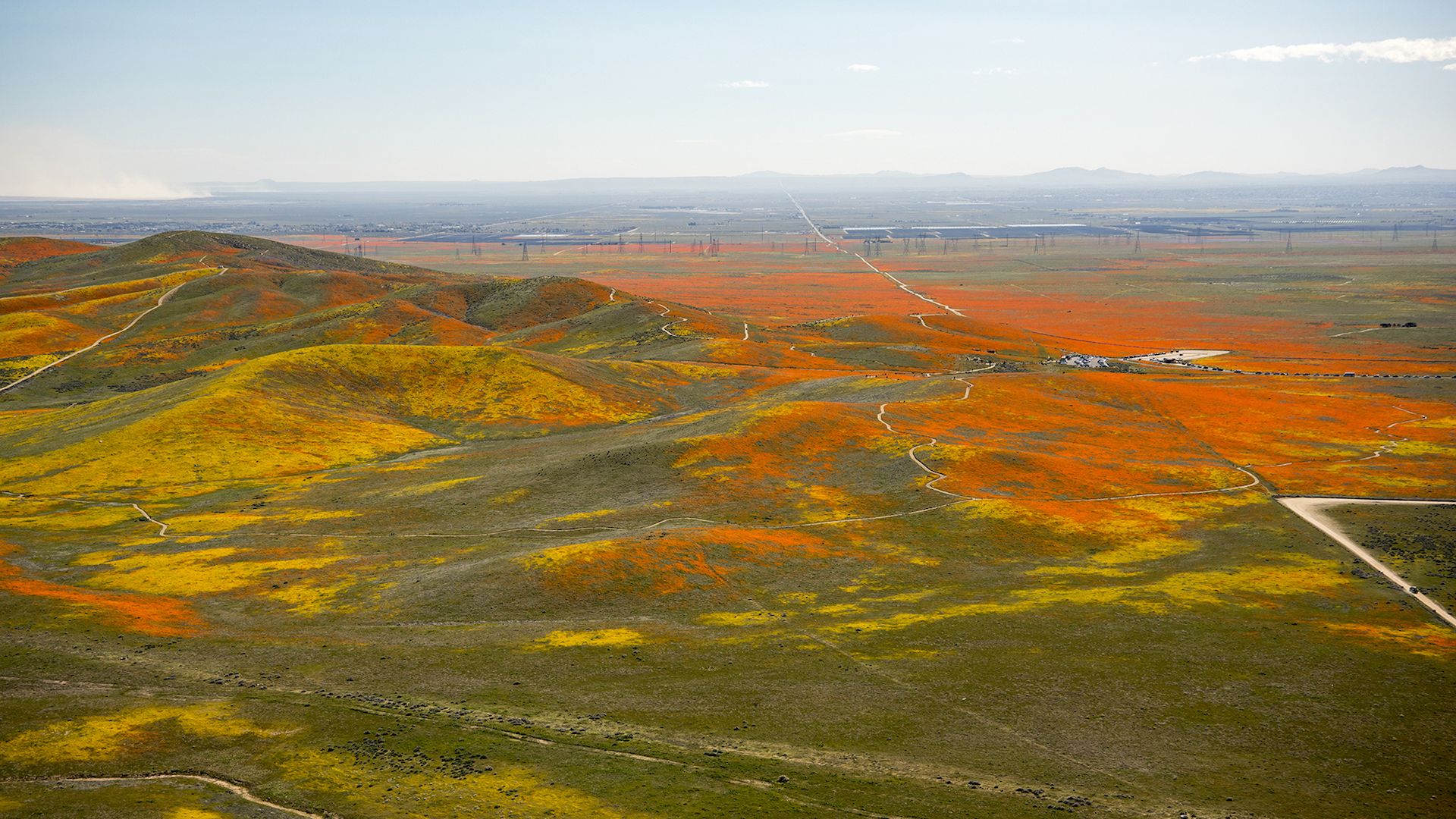 Aerial photo of the so-called "Super Bloom" of flowers in the California desert in 2019.