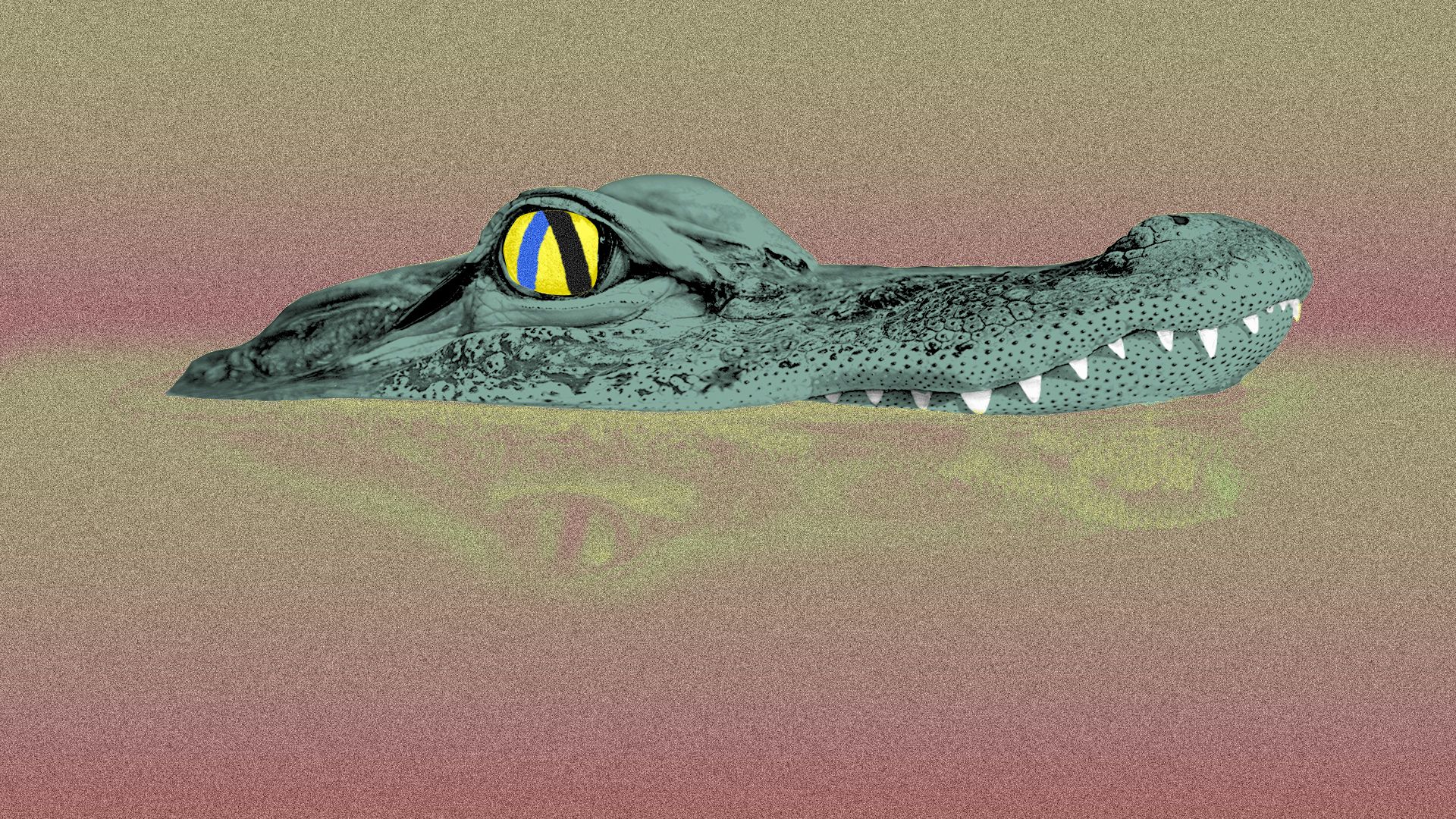 Illustration of an alligator emerging from the water with a pupil shaped like an Axios logo.