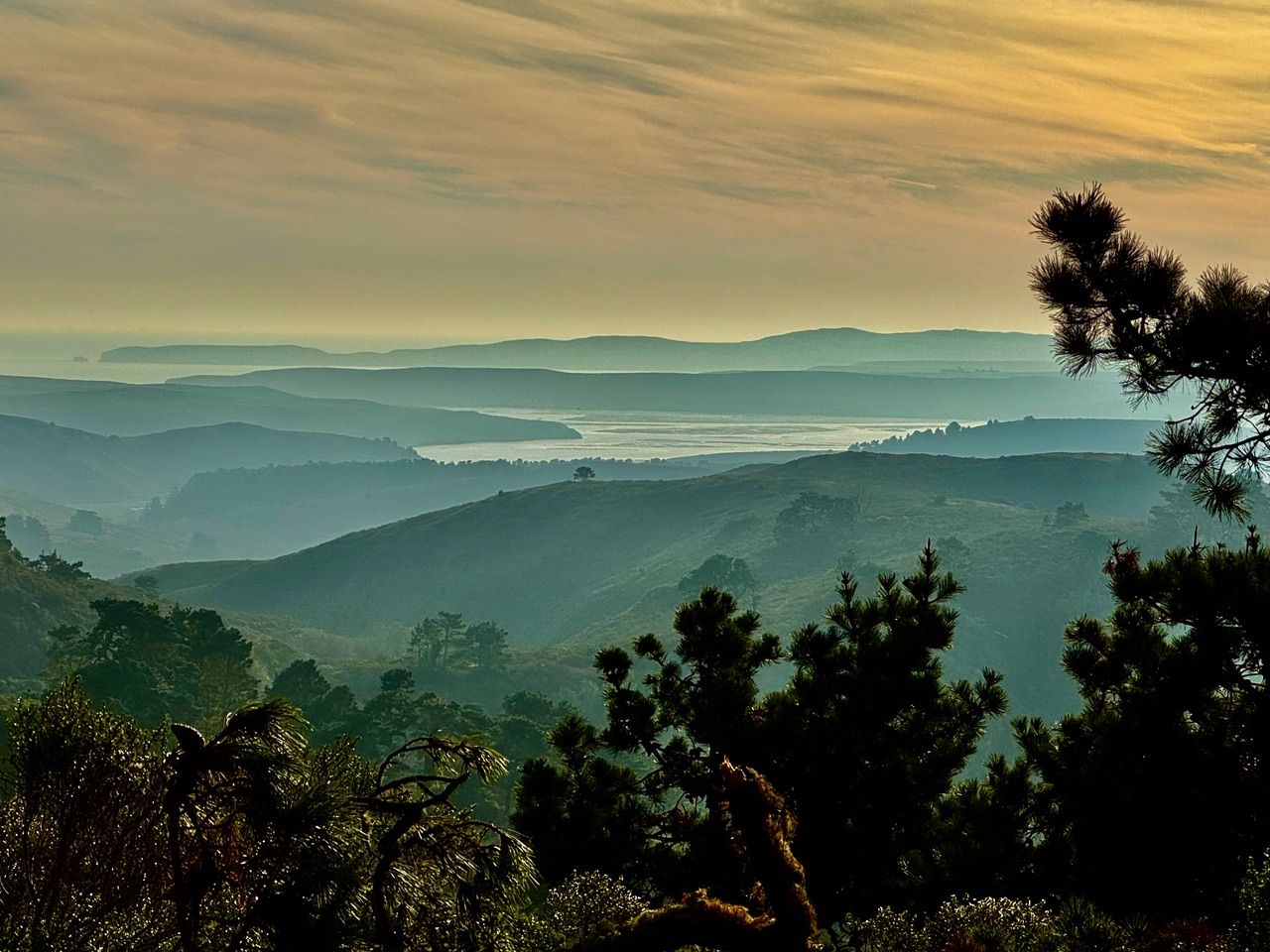 Layers of green hills fading into the distance under a soft yellow-orange sky, with dark pine tree branches in the foreground and a shimmering body of water in the background.