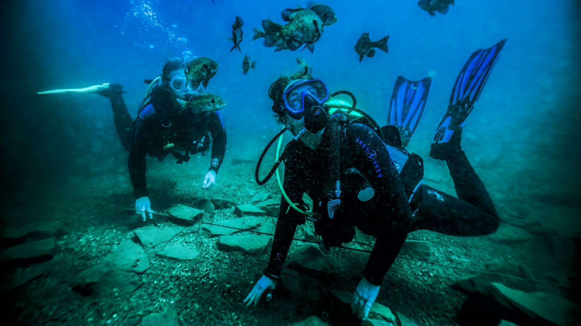 Two scuba divers explore underwater, surrounded by swimming fish in clear blue waters.