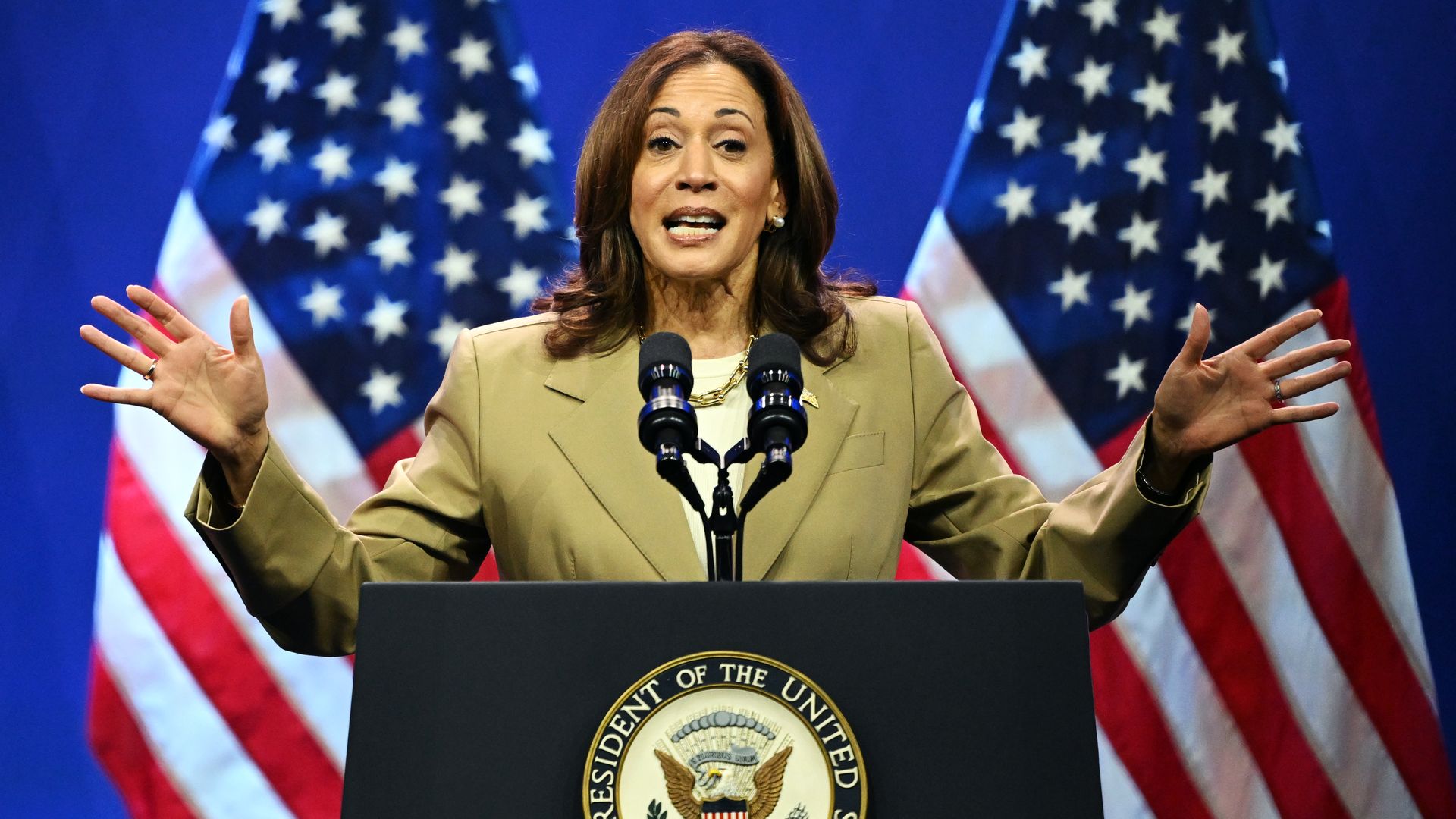 ice President Kamala Harris speaks during a campaign event at the Asian and Pacific Islander American Vote Presidential Town Hall at the Pennsylvania Convention Center on July 13, 2024 in Philadelphia, Pennsylvania