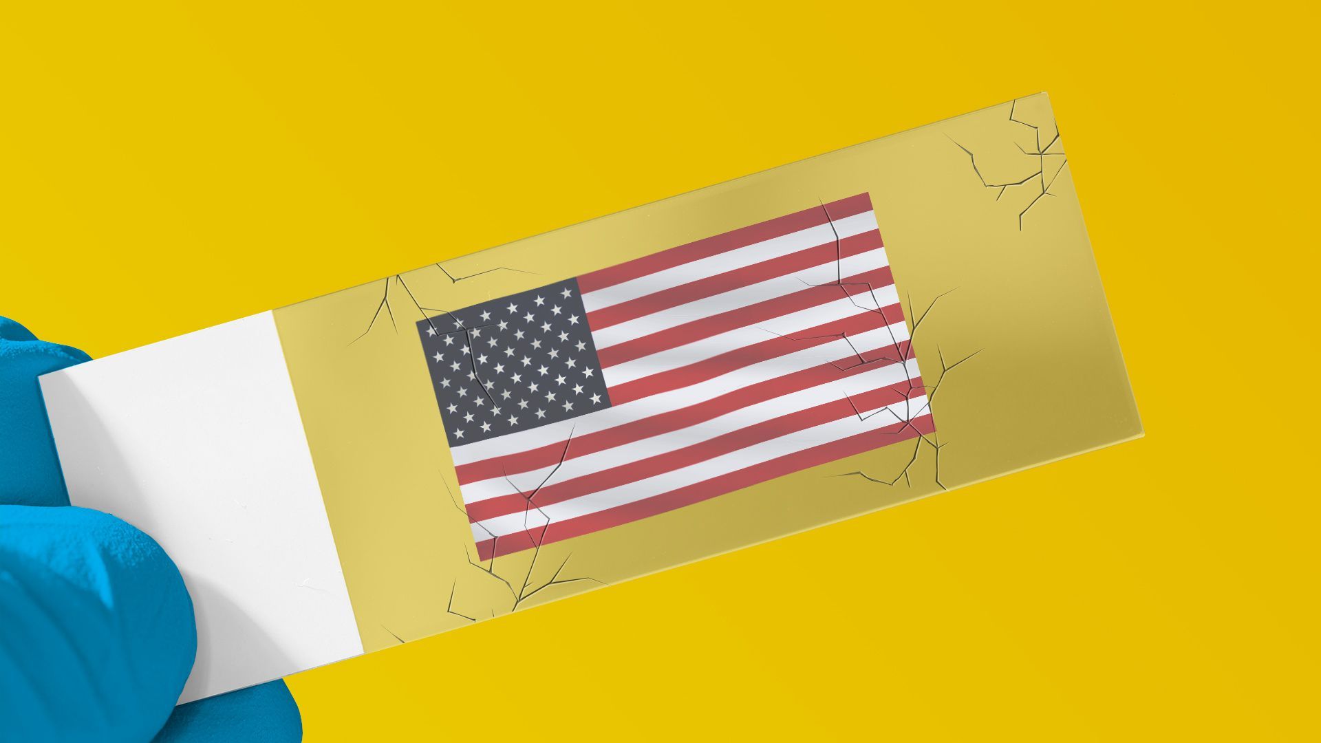 Illustration of a hand holding a cracked microscope slide containing the U.S. flag.