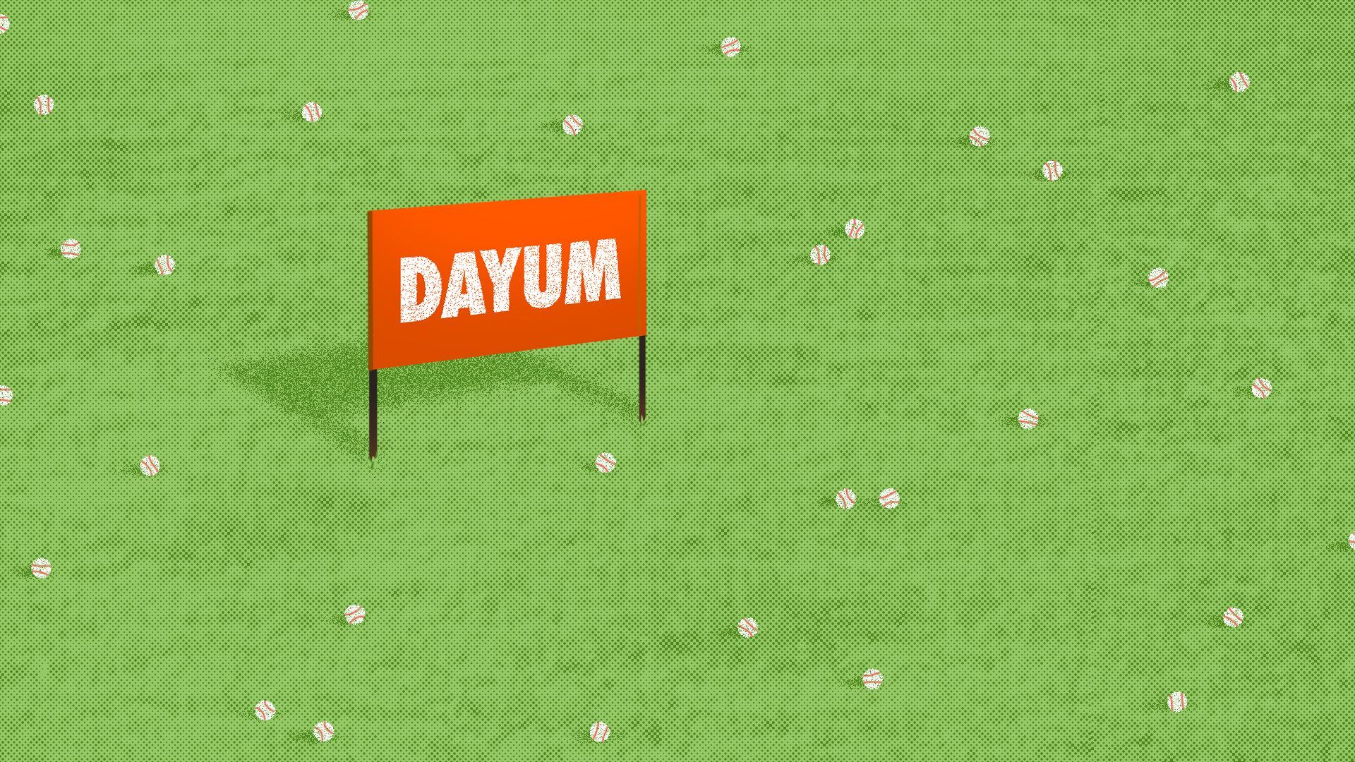Illustration of a field of baseballs with sign reading 'Dayum'