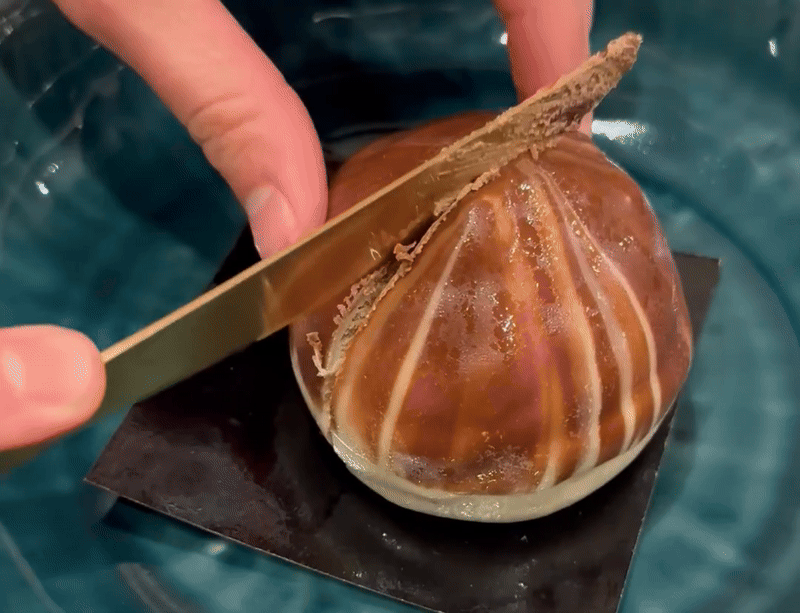 A gif of a cake getting cut, showing the delicious mouse inside