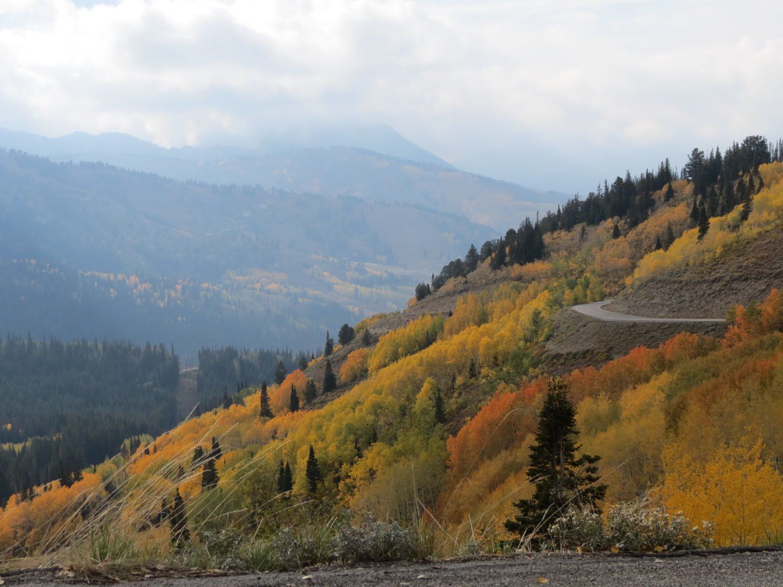 A scenic mountain road in autumn with gold and orange leaves on aspens.