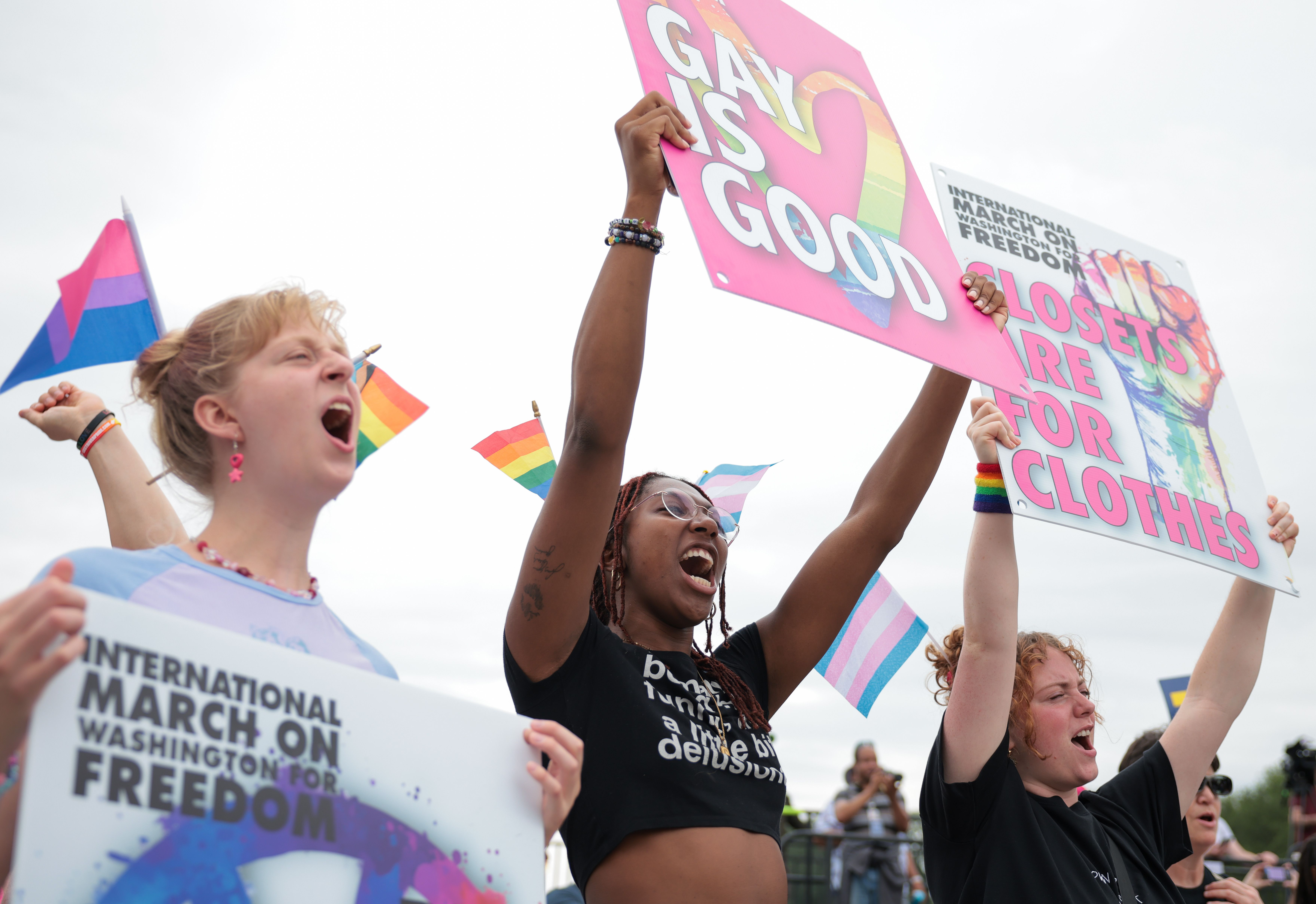 People shout and hold signs saying Gay is Good and rainbow flags during a 205 World Pride event. 