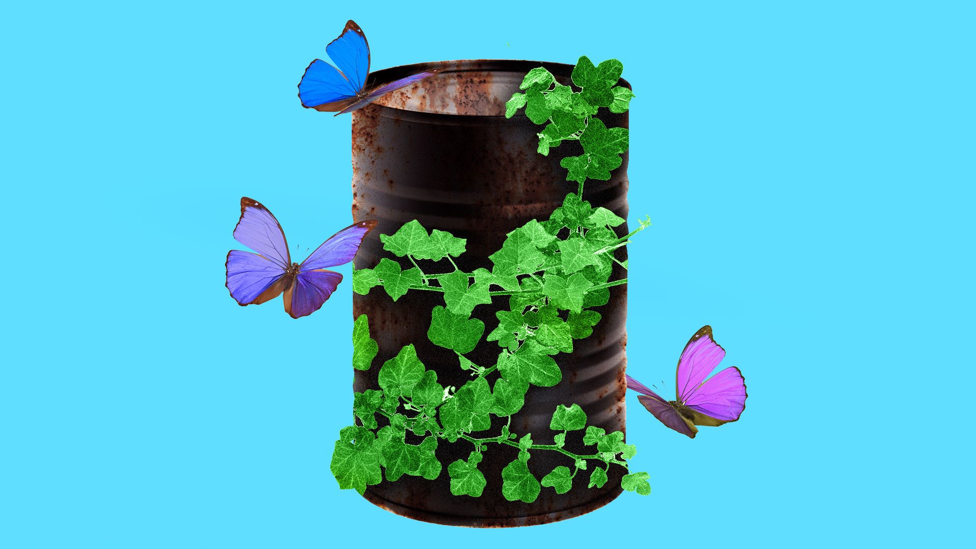 Oil barrel with plants and butterflies