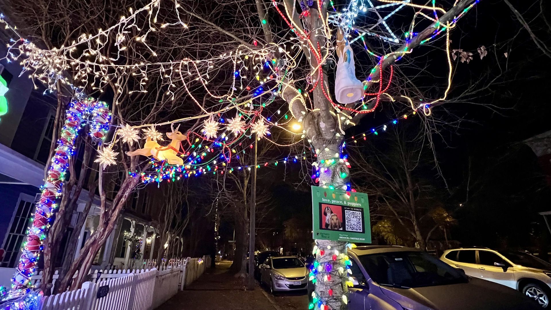 Messy holiday lights dangling over a tree. 