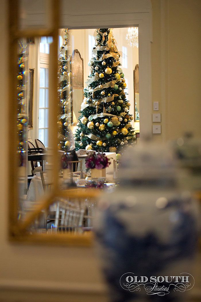 christmas tree at duke mansion