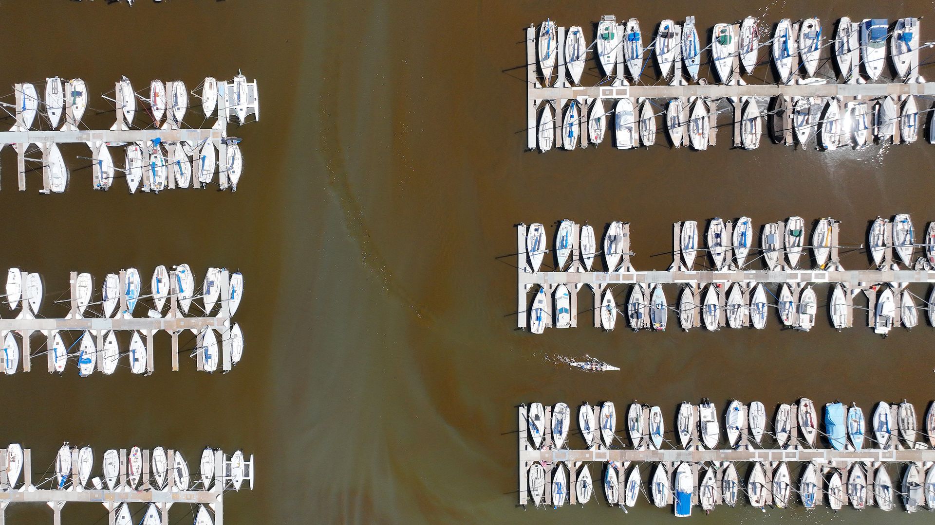 Aerial shot of the San Francisco Bay with brown water