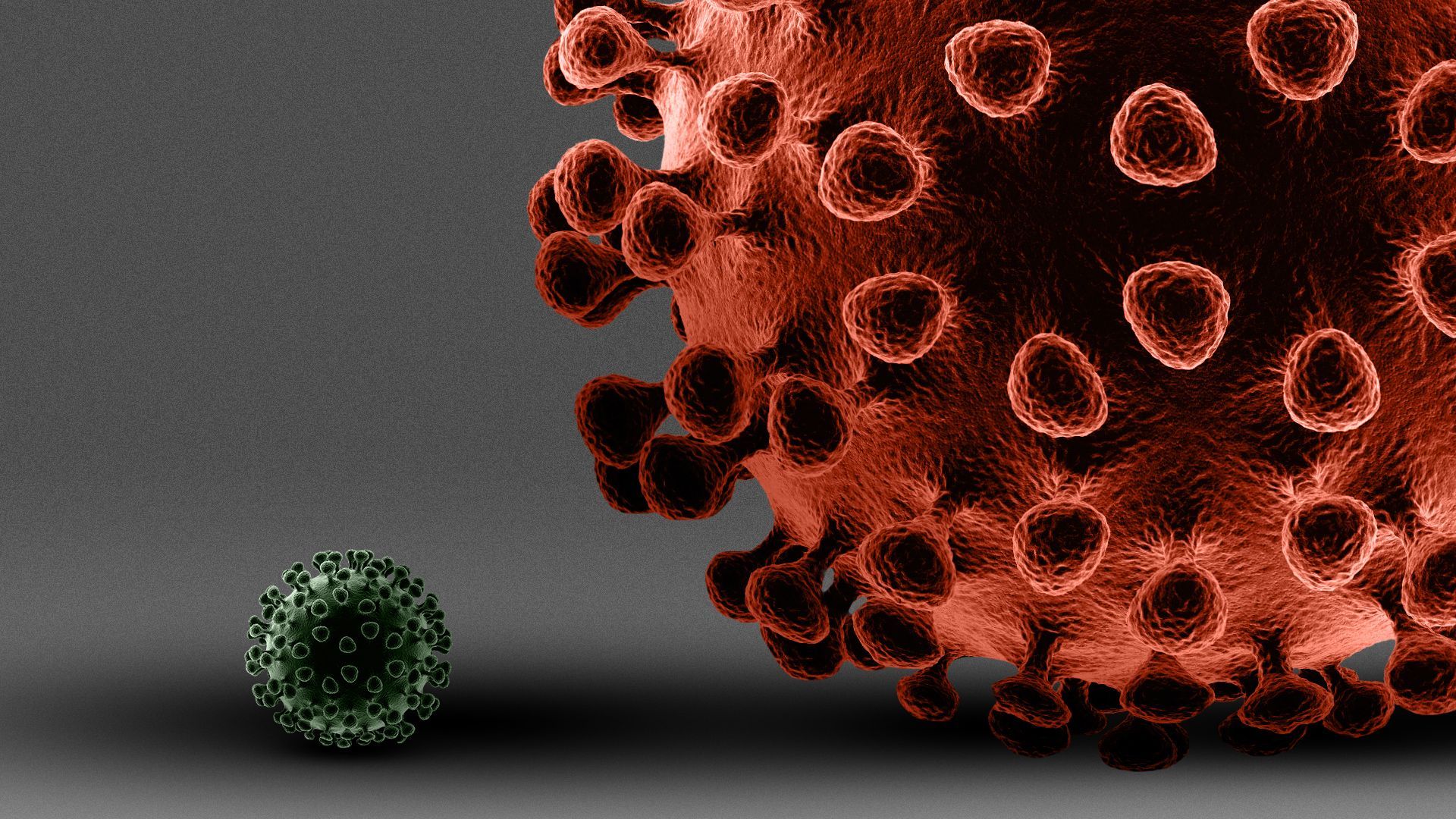 Illustration of a COVID virus cell being overshadowed by a significantly larger COVID virus cell. 